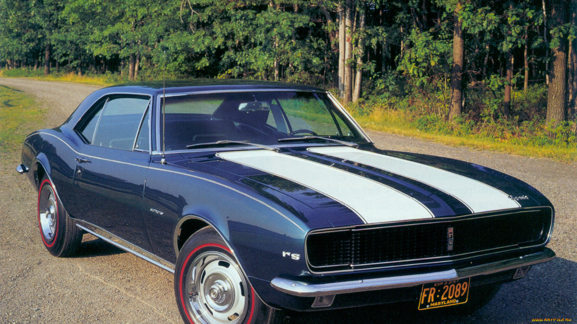 автомобили, camaro