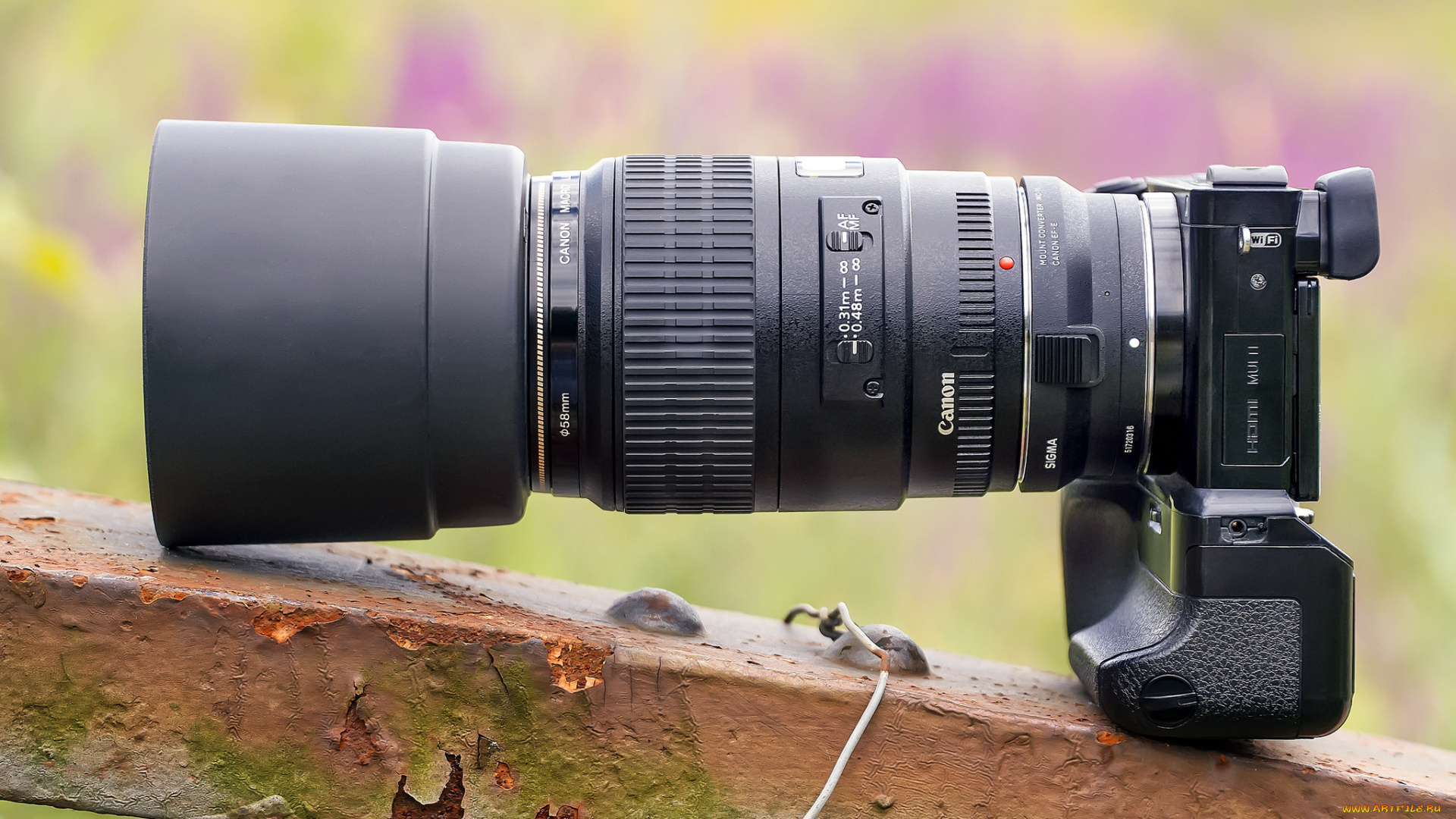 бренды, cancun, фотокамера