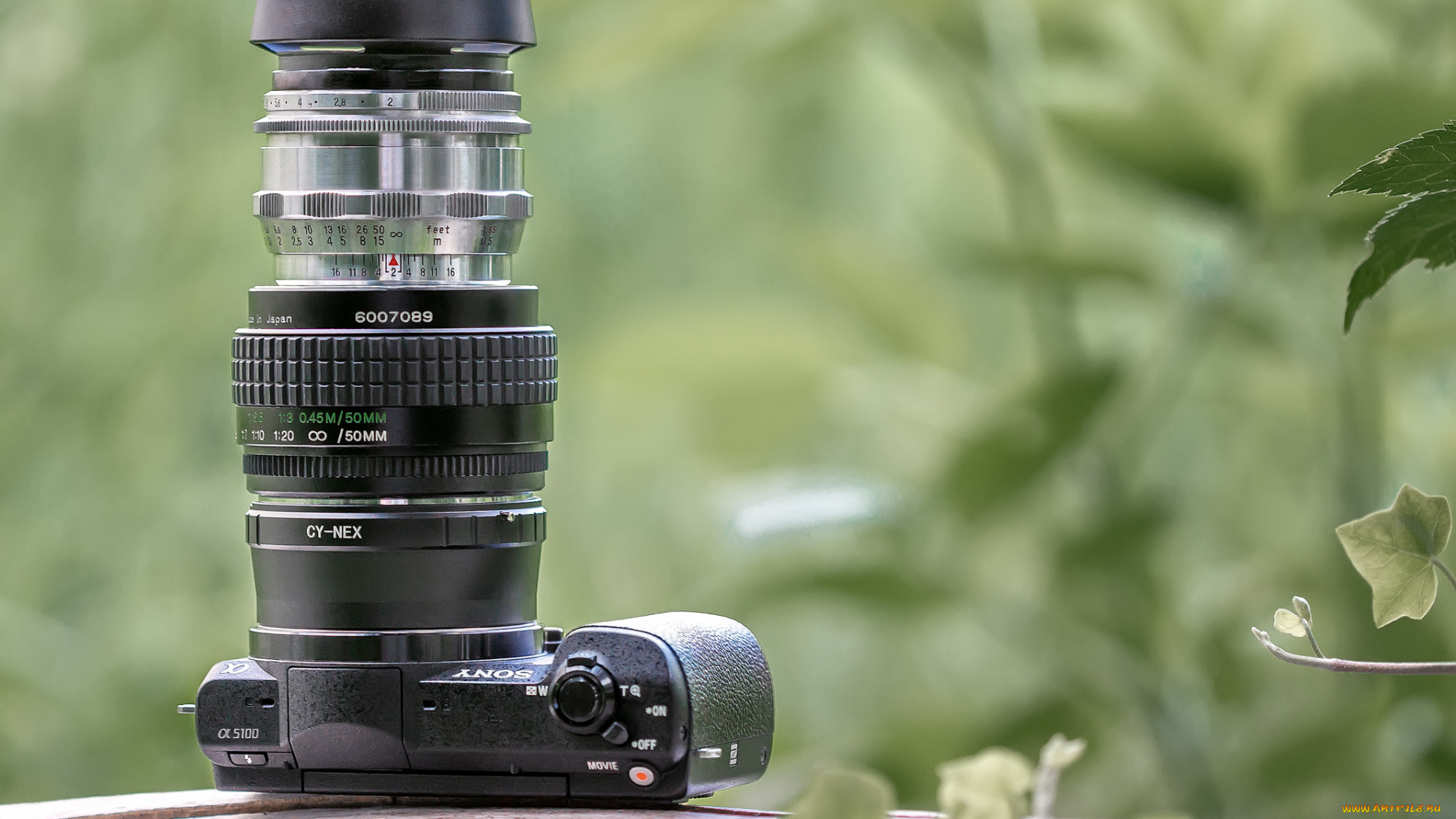 бренды, sony, фотокамера