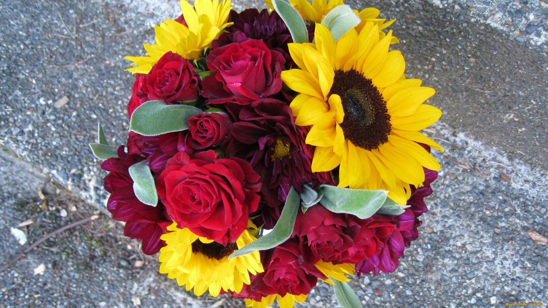 цветы, букеты, , композиции, георгины, подсолнухи, розы