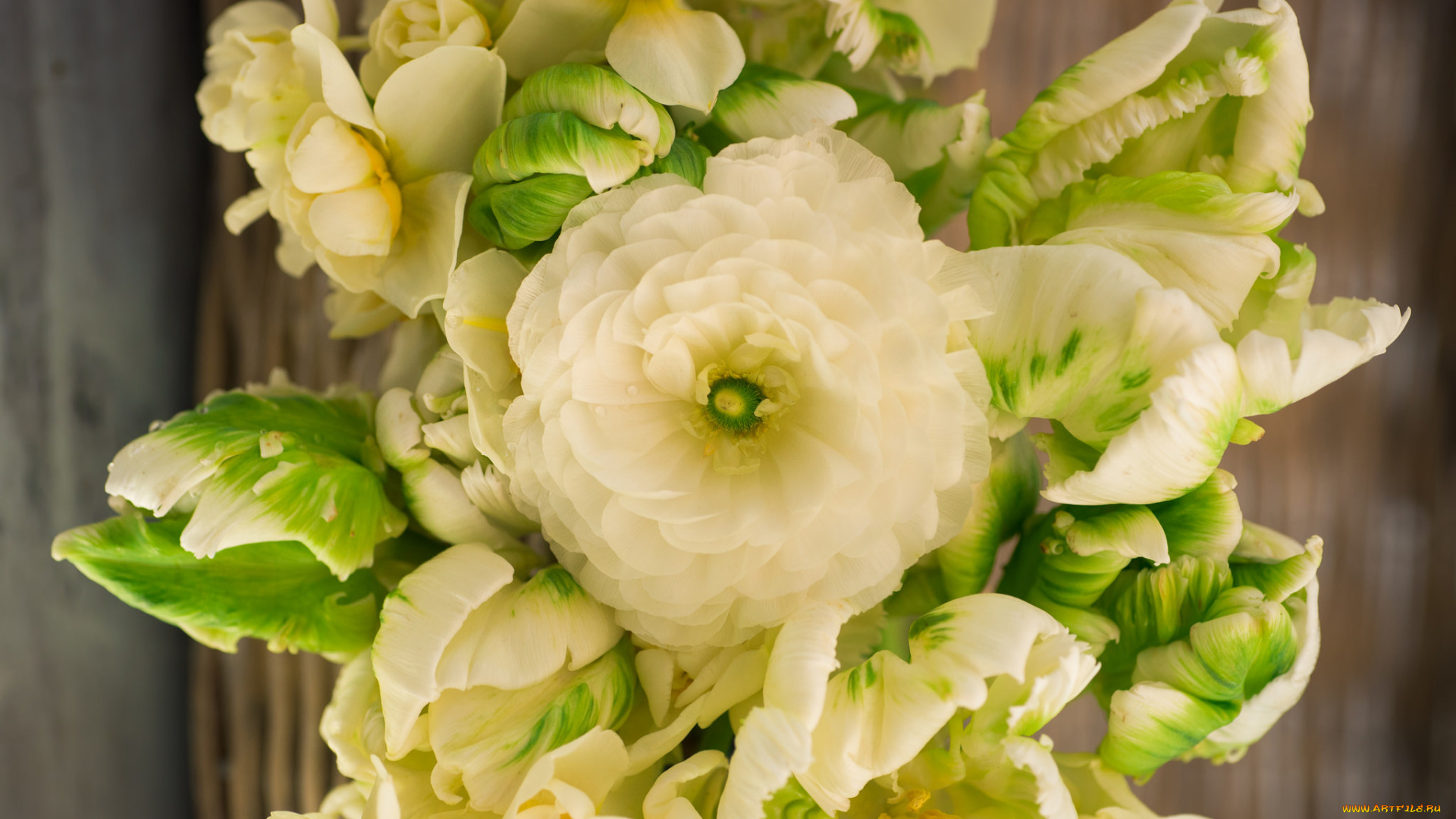 цветы, разные, вместе, макро, ранункулюс, тюльпаны, букет