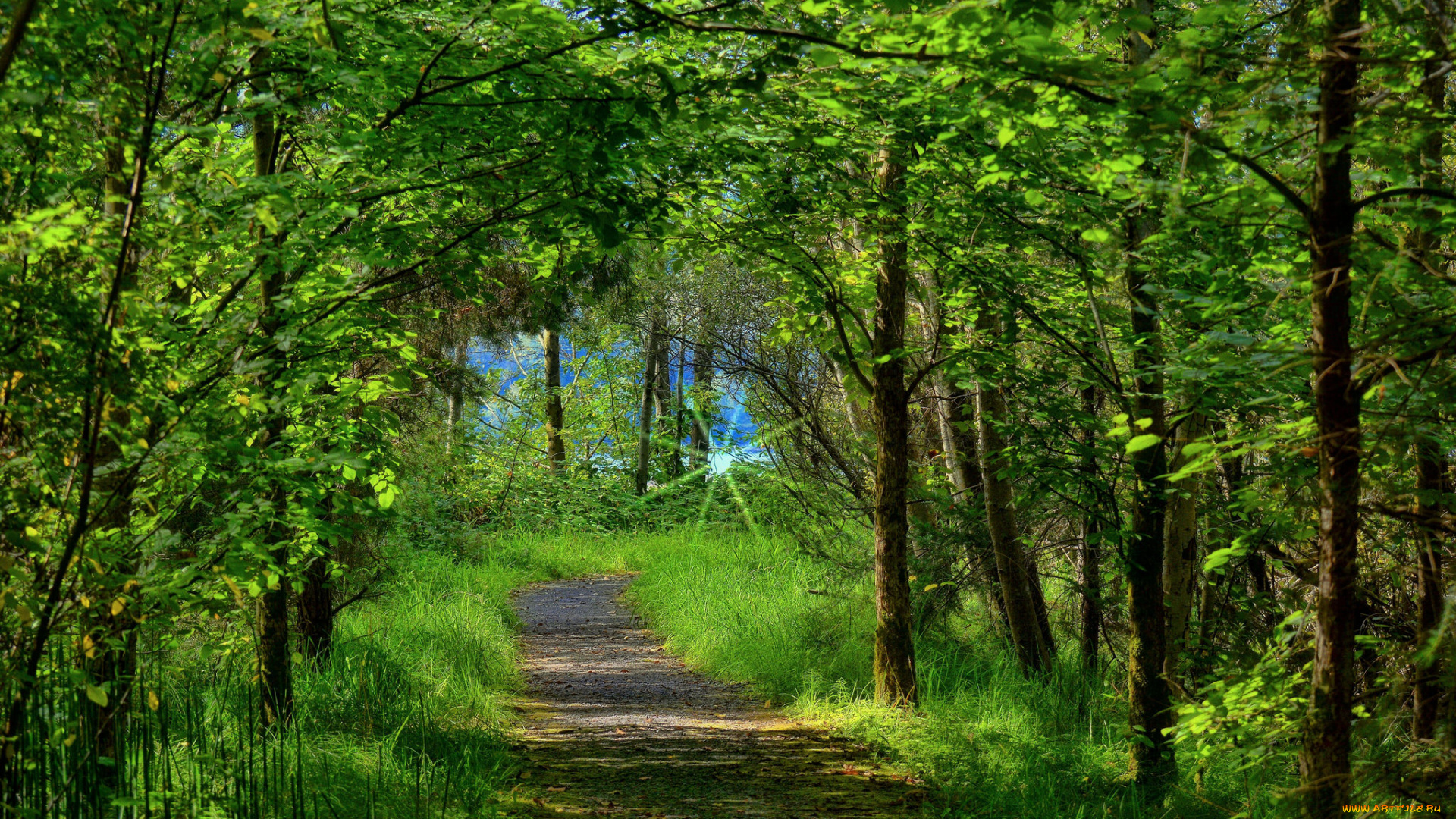 природа, дороги, тракт