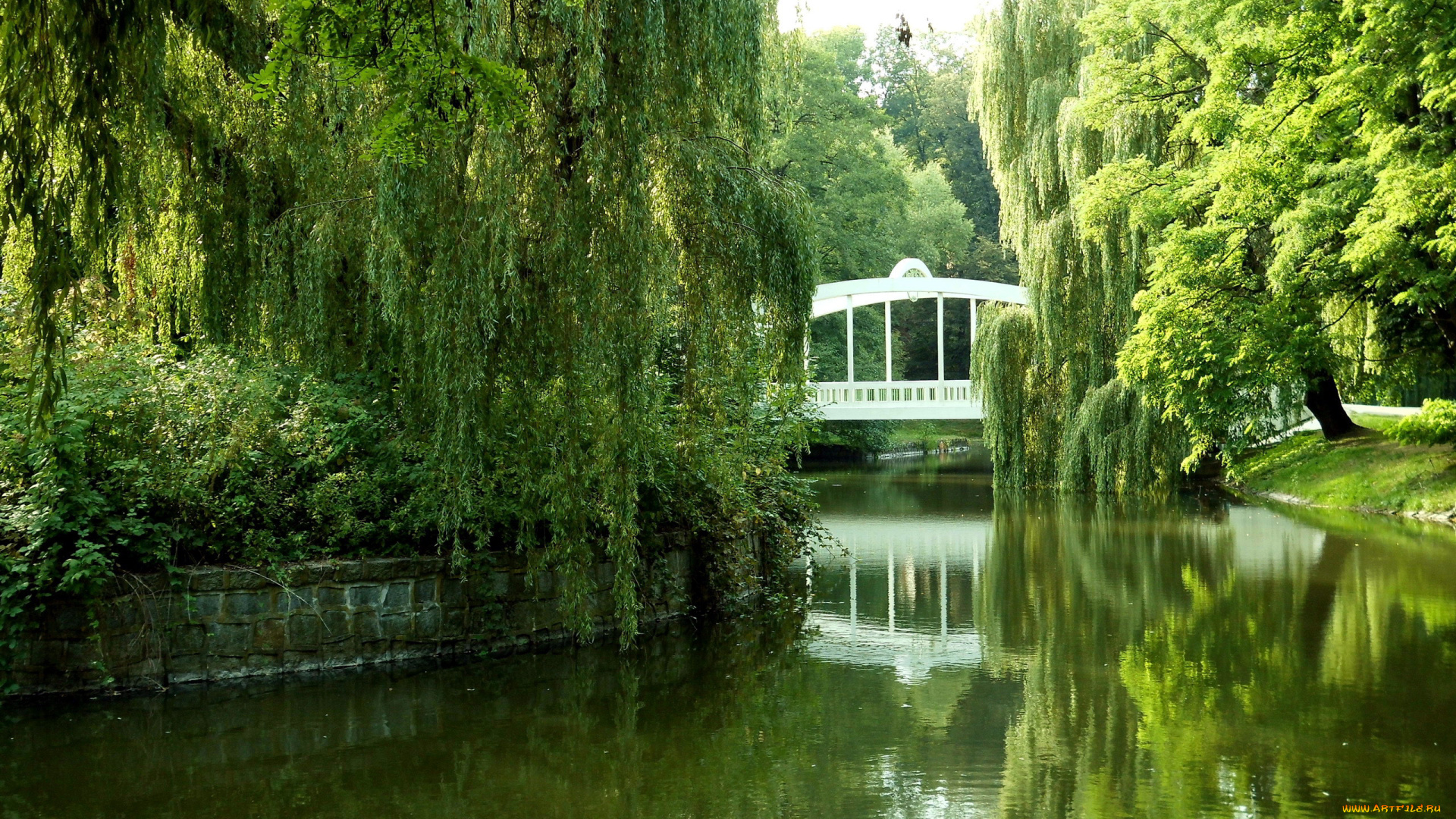 природа, парк, ивы, водоем, мостик