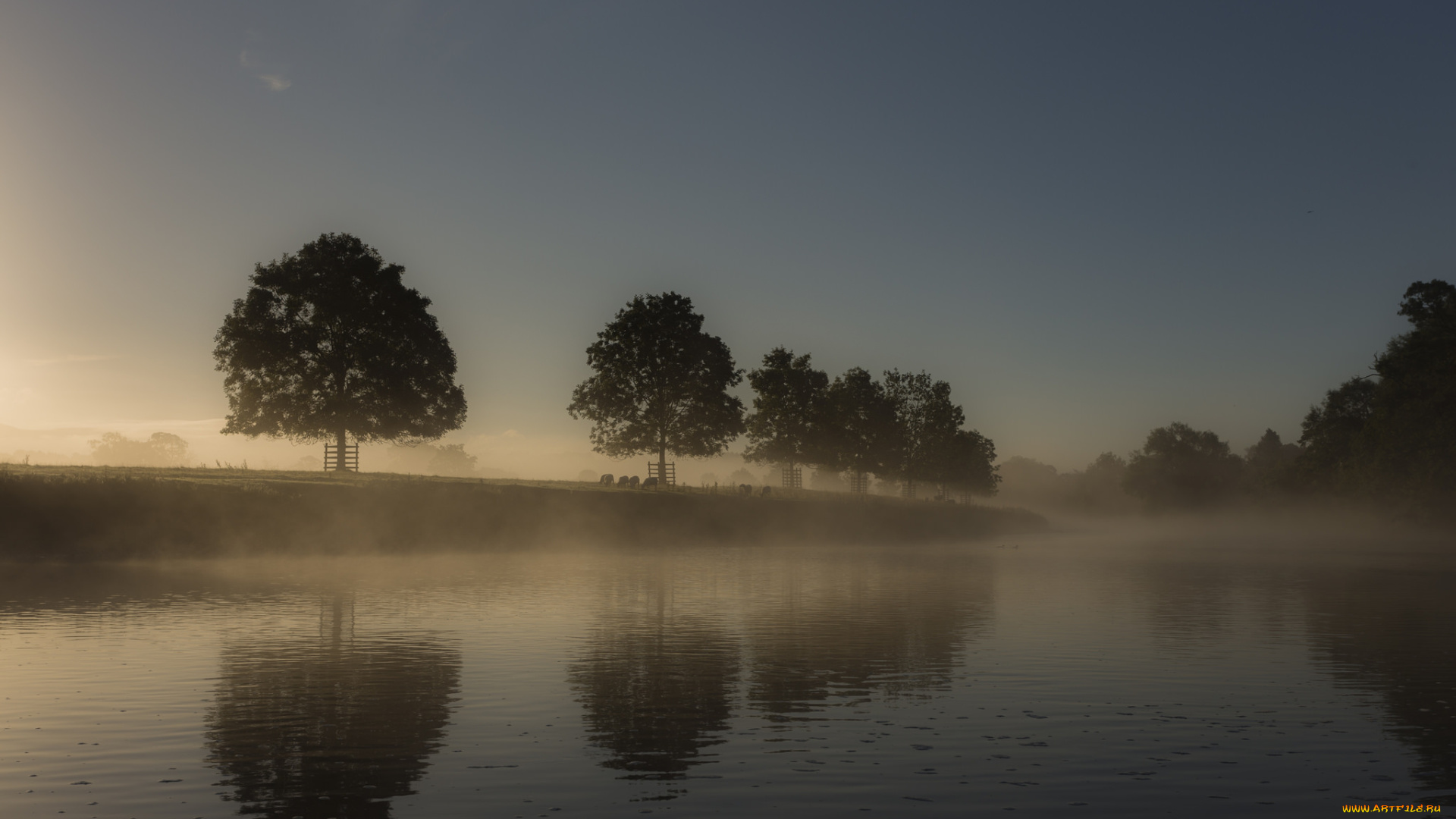 природа, реки, озера, отражение, деревья, туман, река, утро