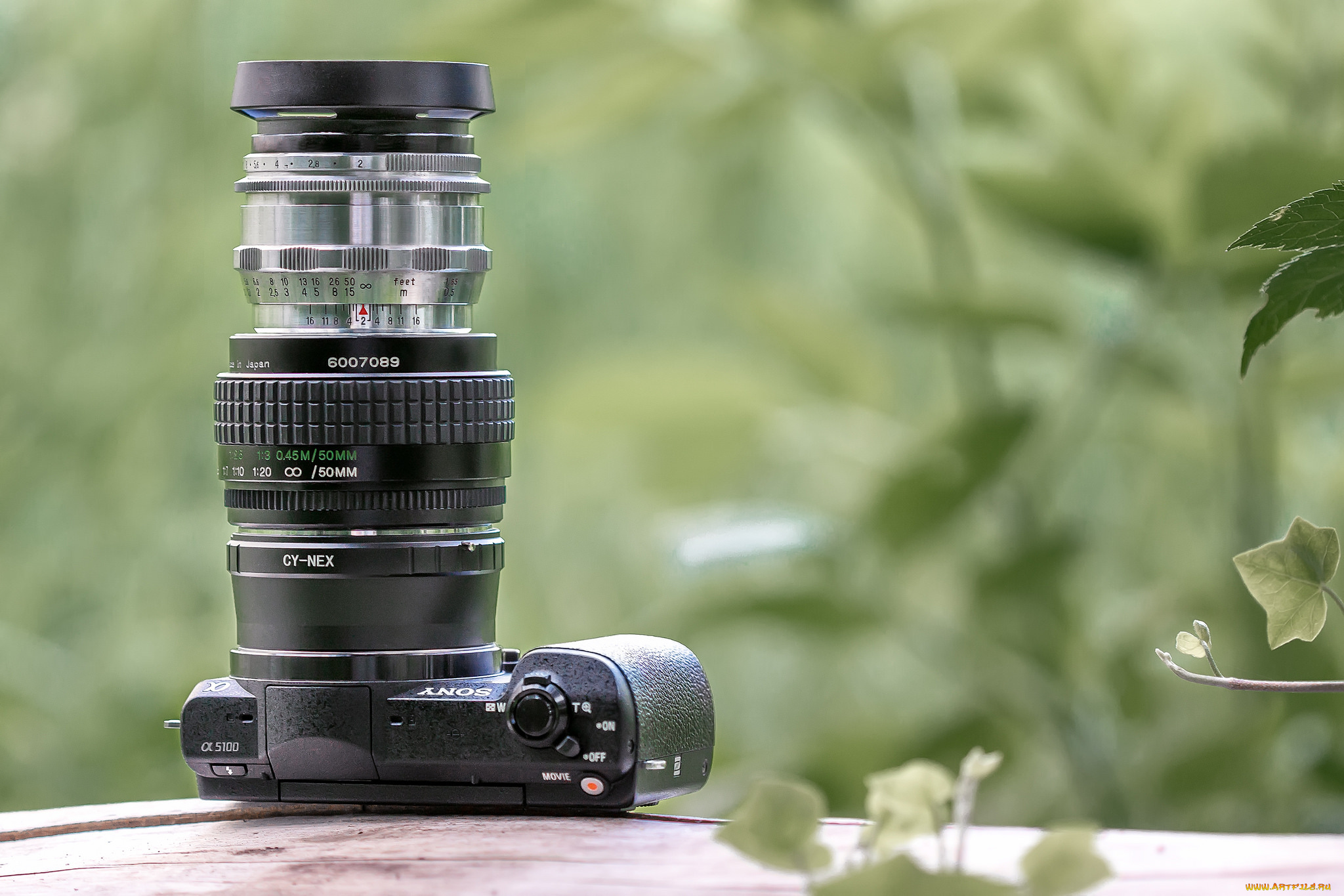 бренды, sony, фотокамера