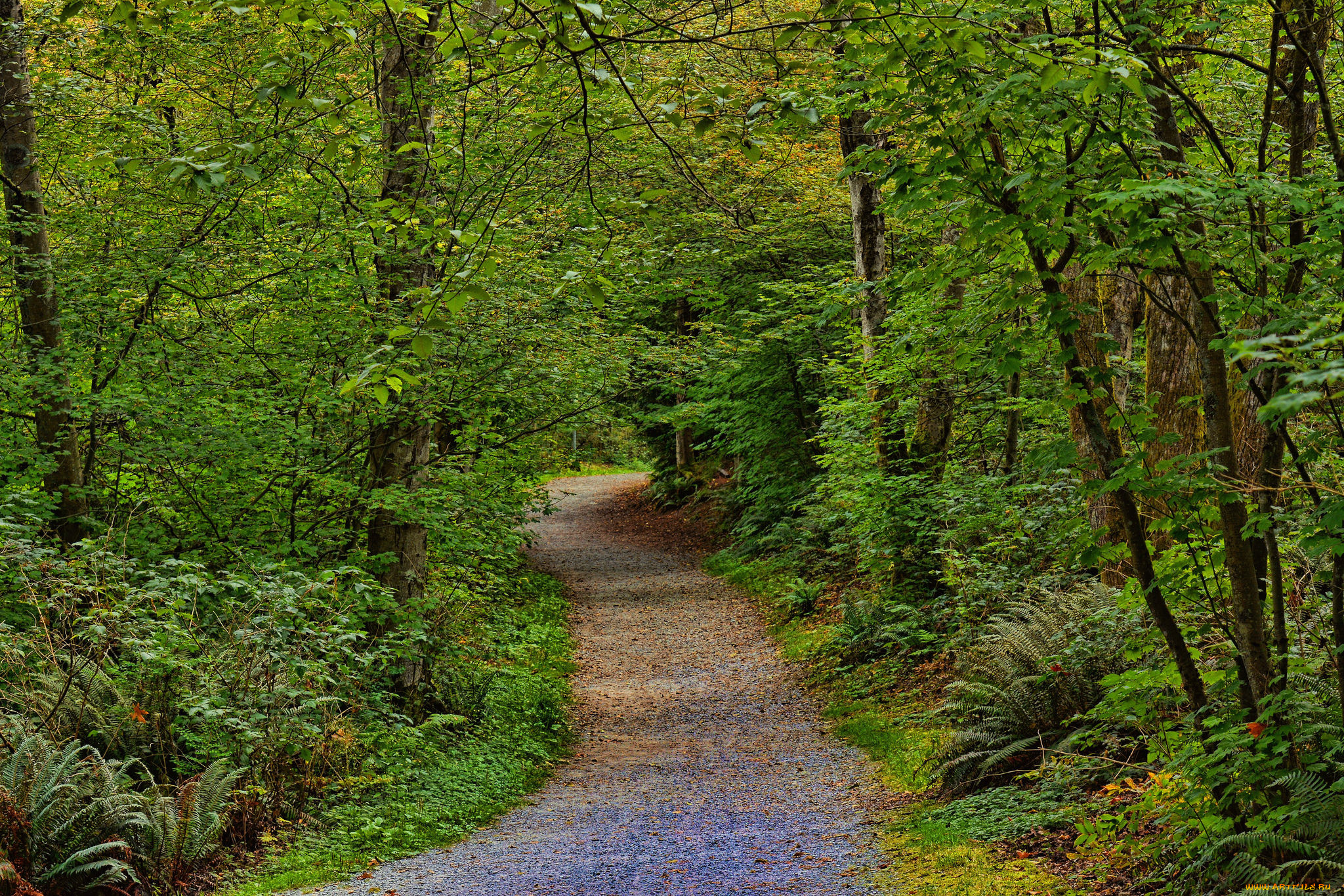 природа, дороги, тракт