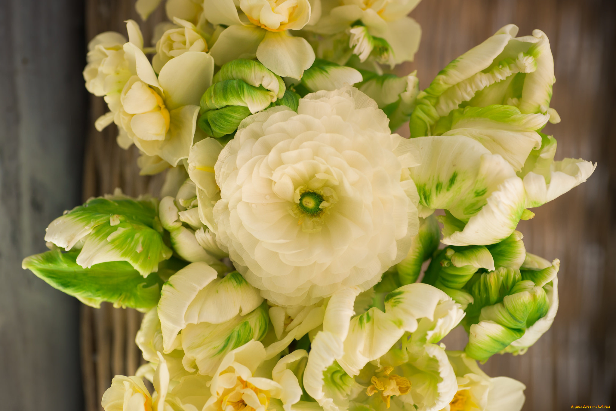 цветы, разные, вместе, макро, ранункулюс, тюльпаны, букет