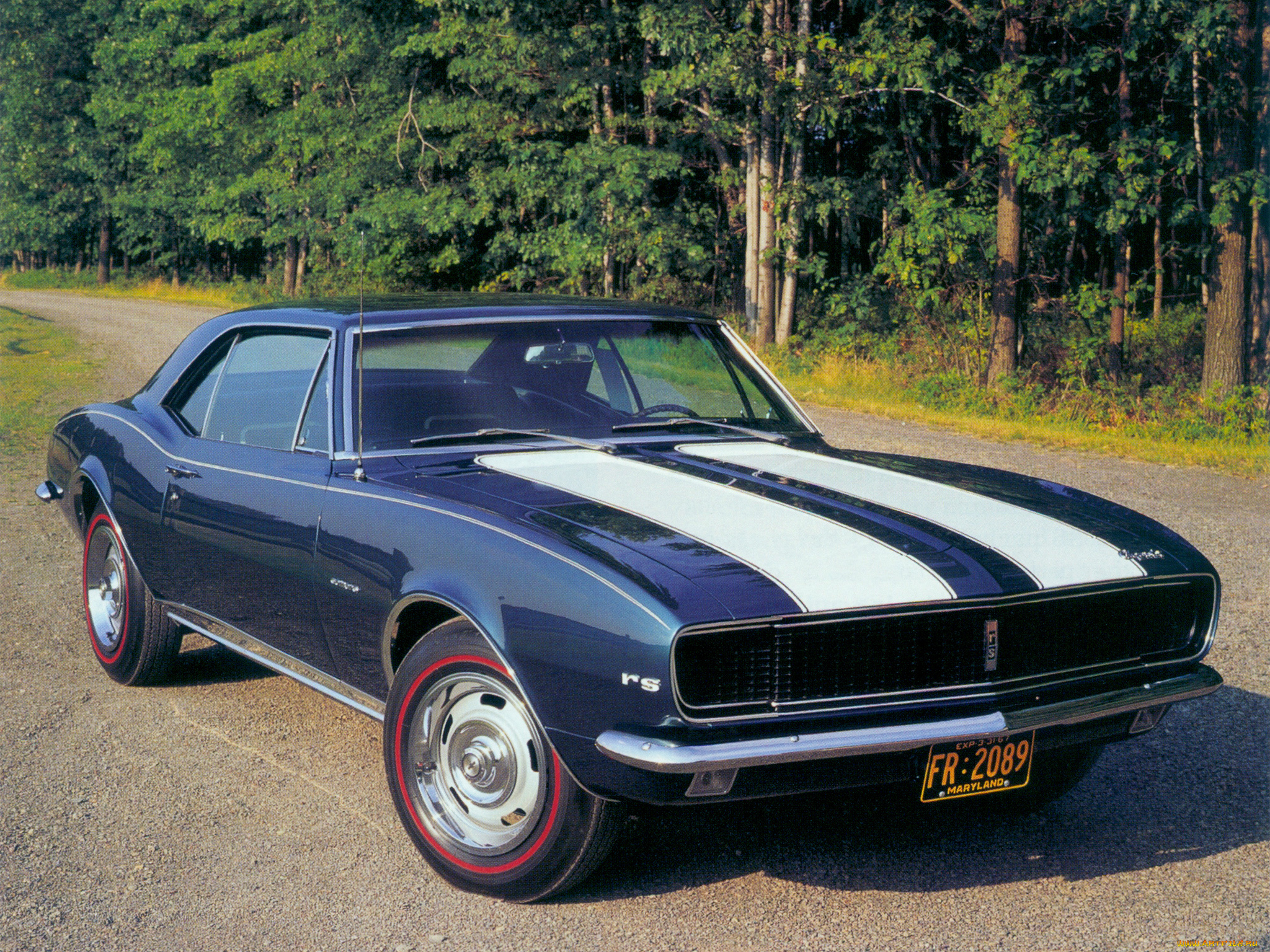 автомобили, camaro