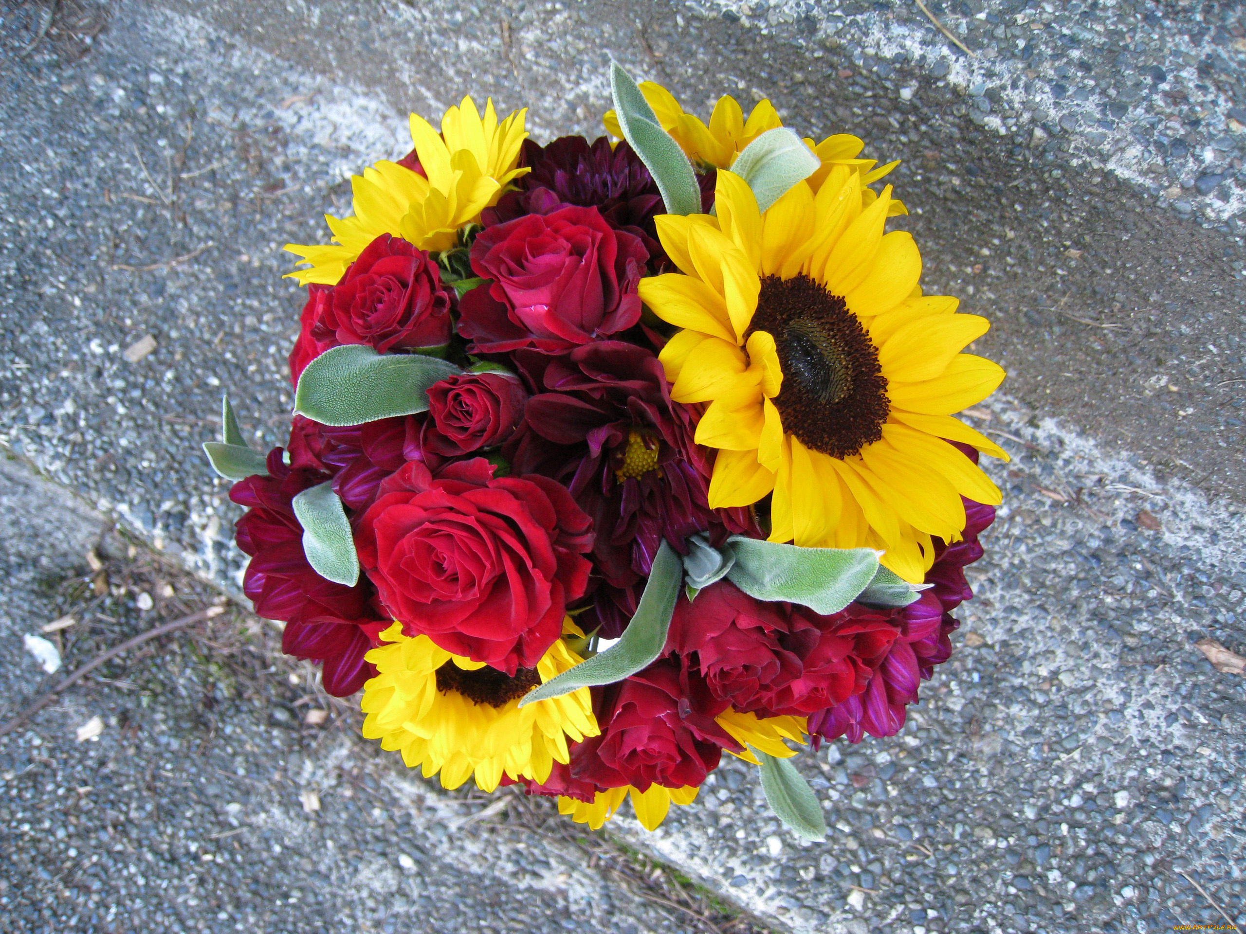 цветы, букеты, , композиции, георгины, подсолнухи, розы