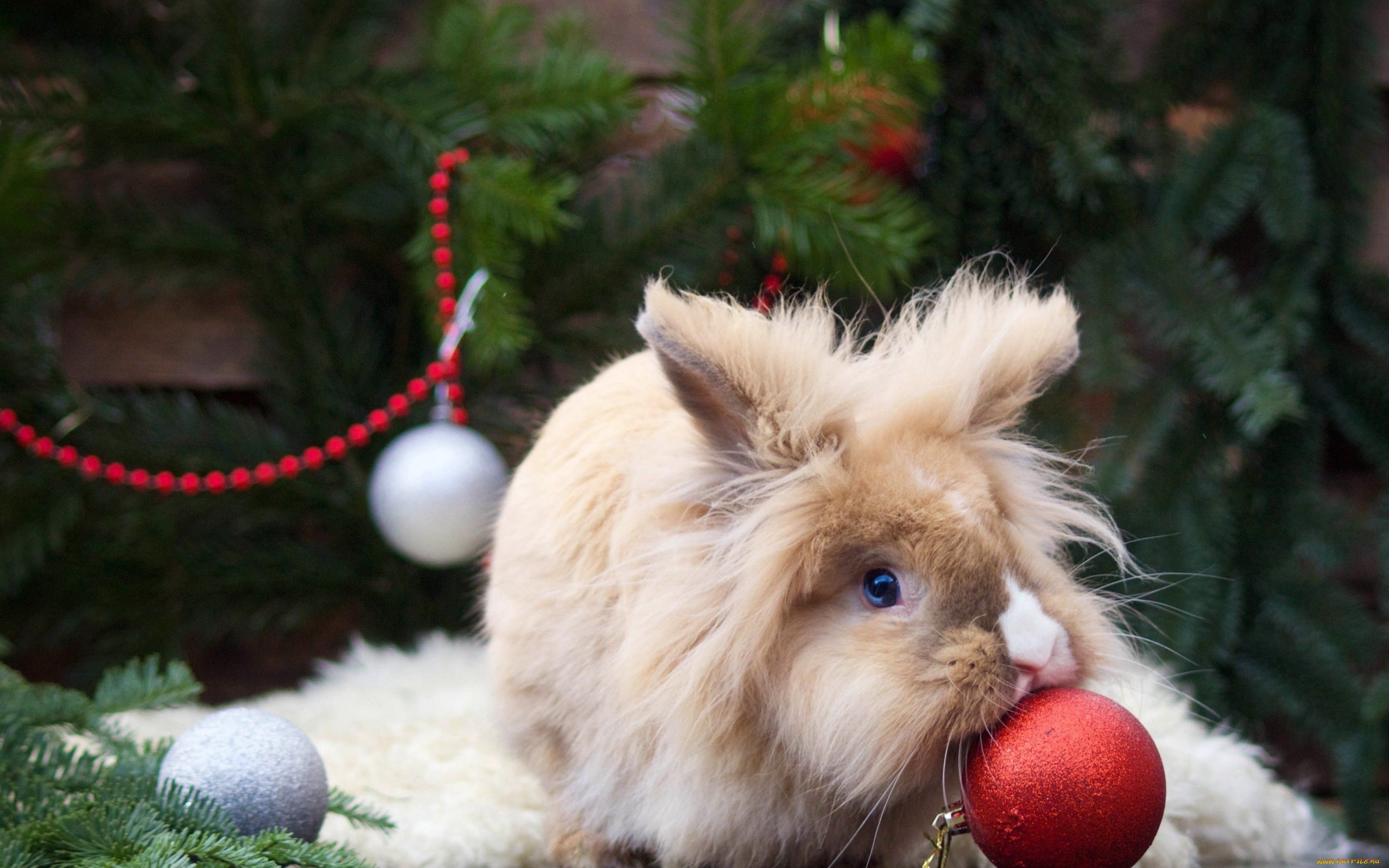 животные, кролики, , зайцы, ёлочные, игрушки, пушистый, кролик, шарики