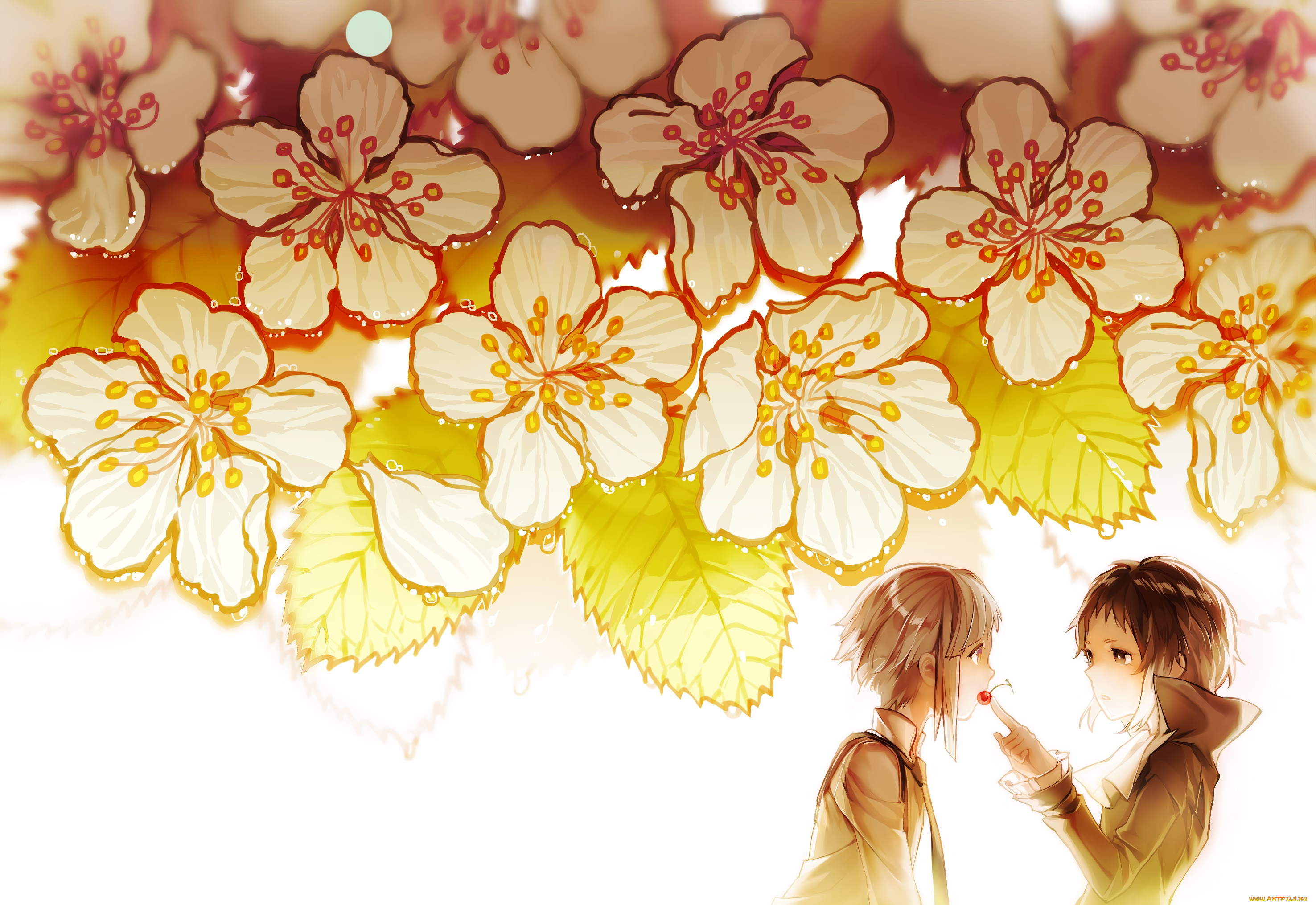 аниме, bungou, stray, dogs, фон, взгляд