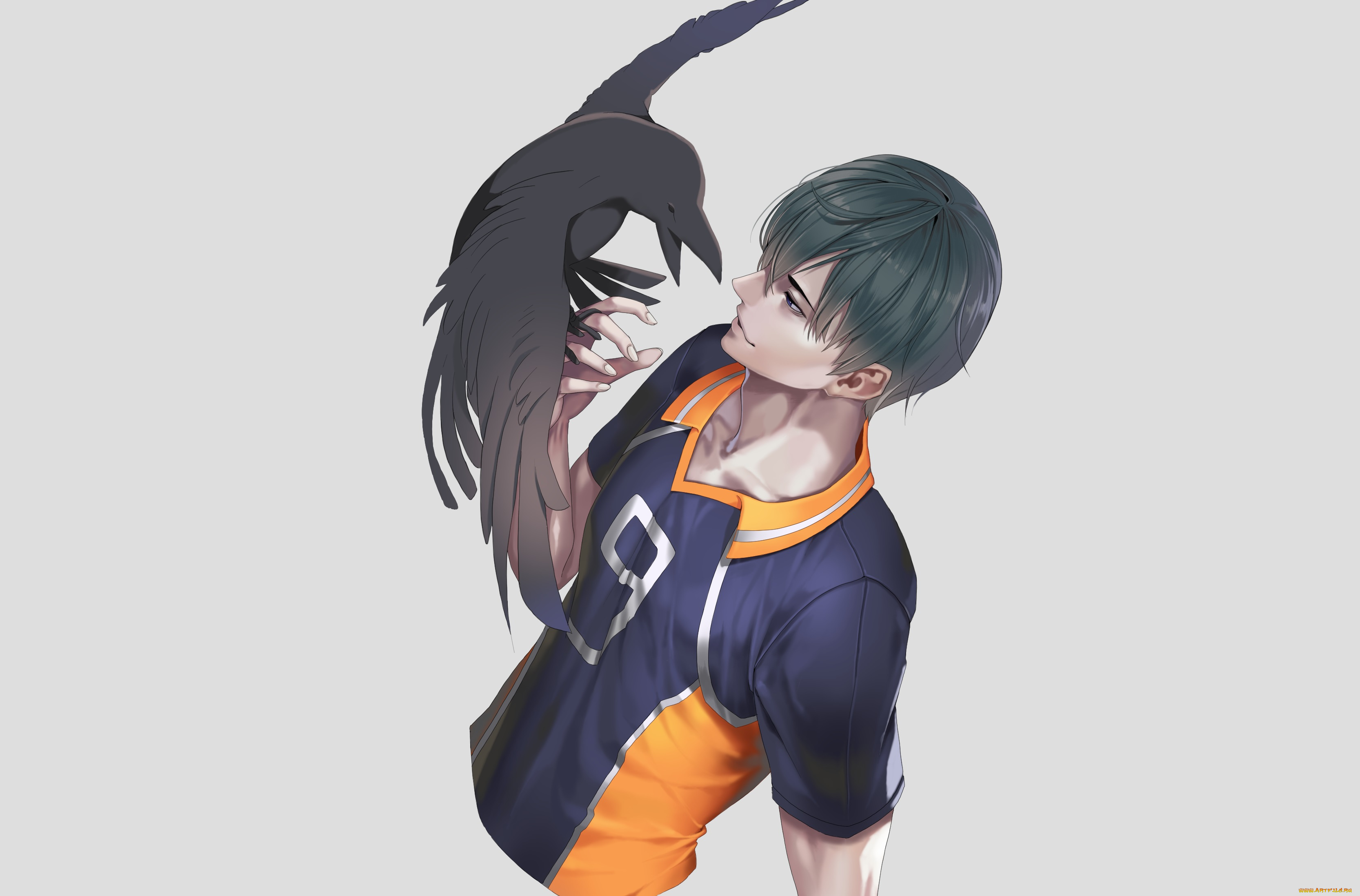 аниме, haikyuu, kageyama, tobio