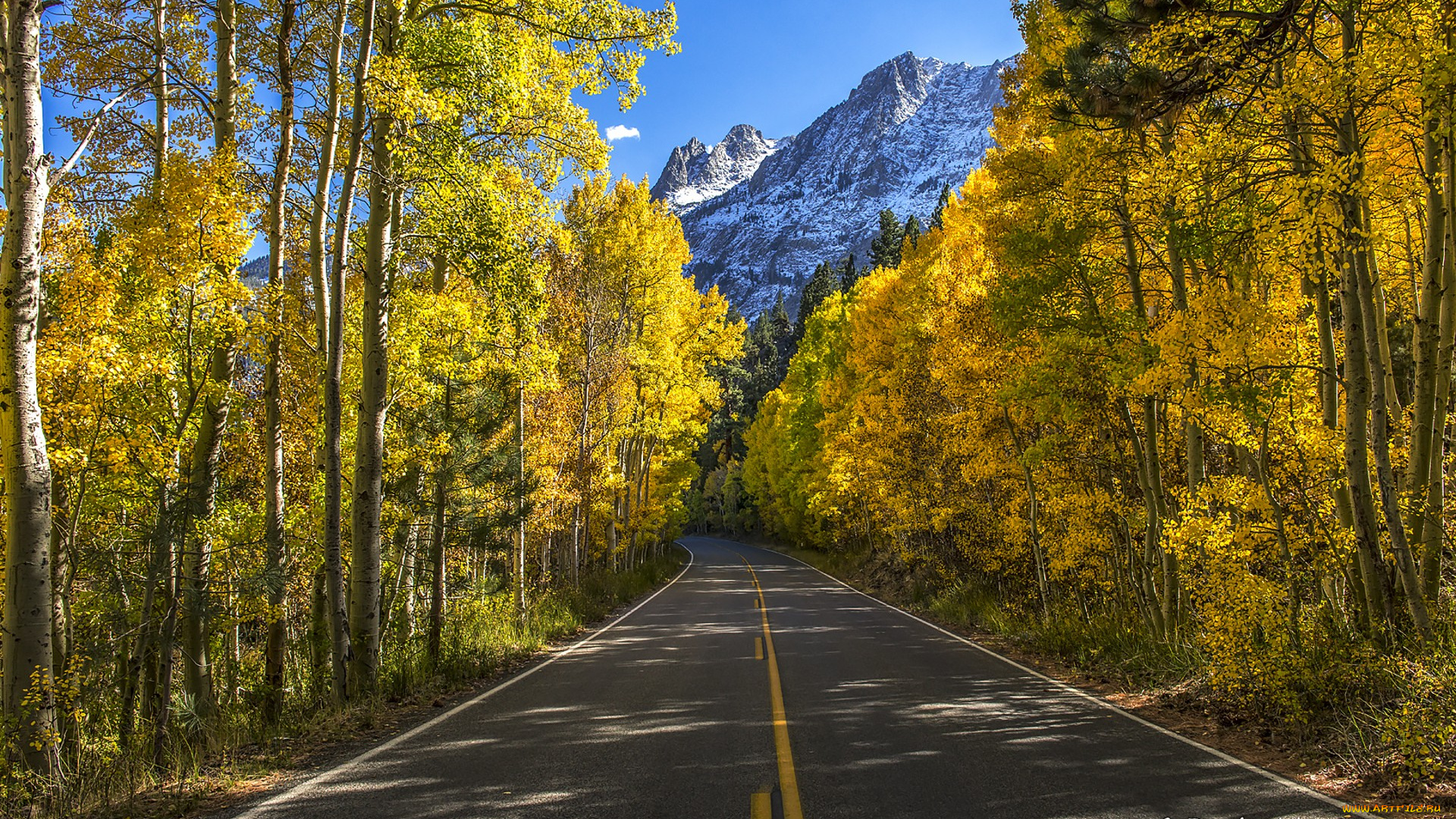 природа, дороги, простор