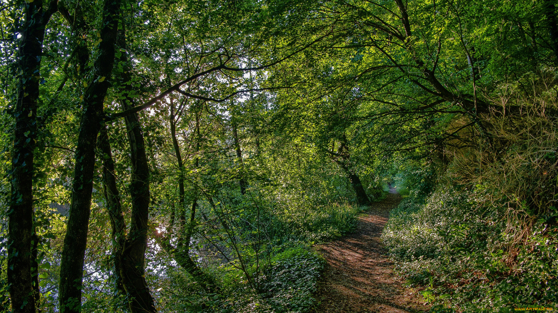 природа, дороги, простор