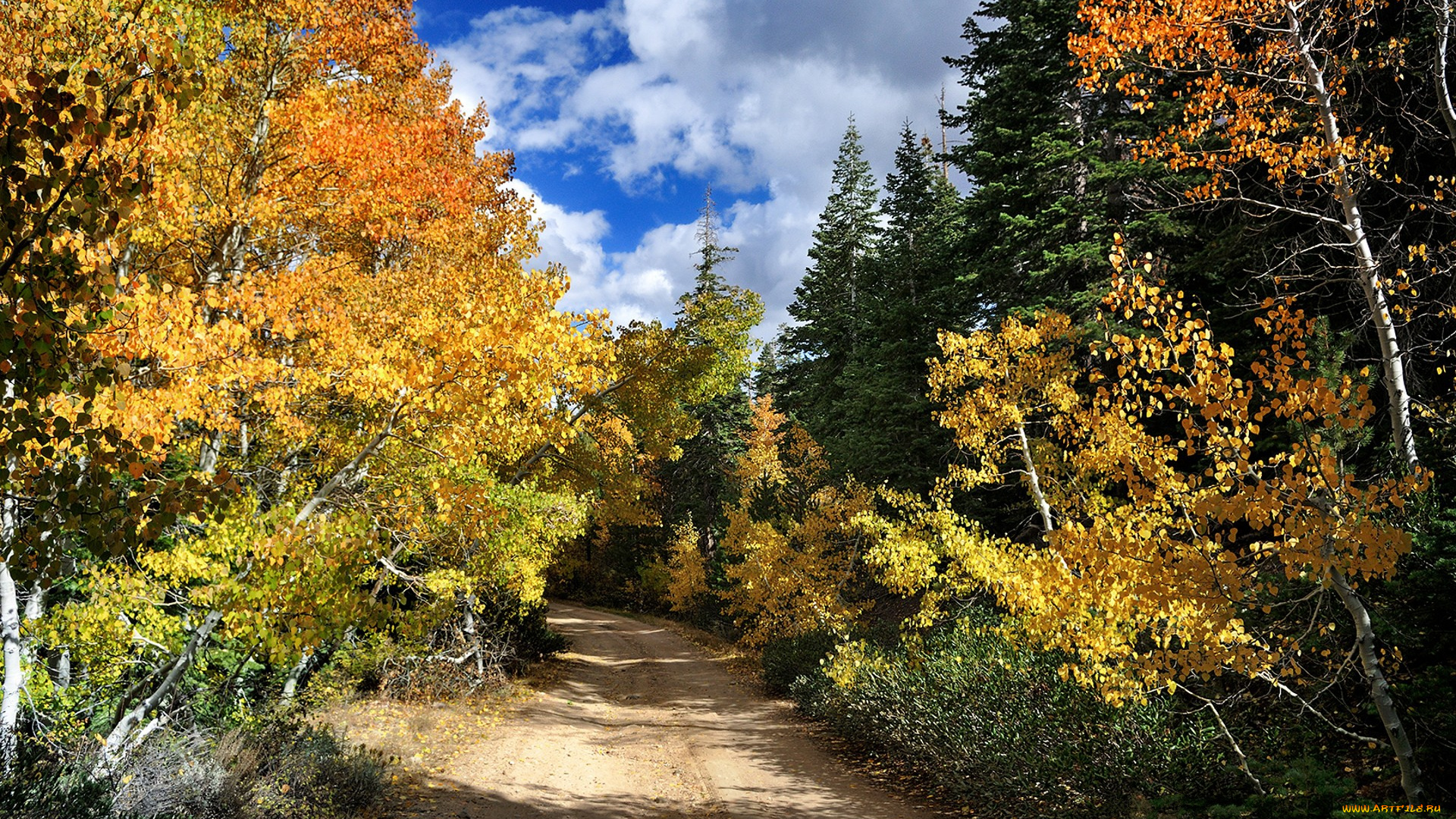 природа, дороги, простор