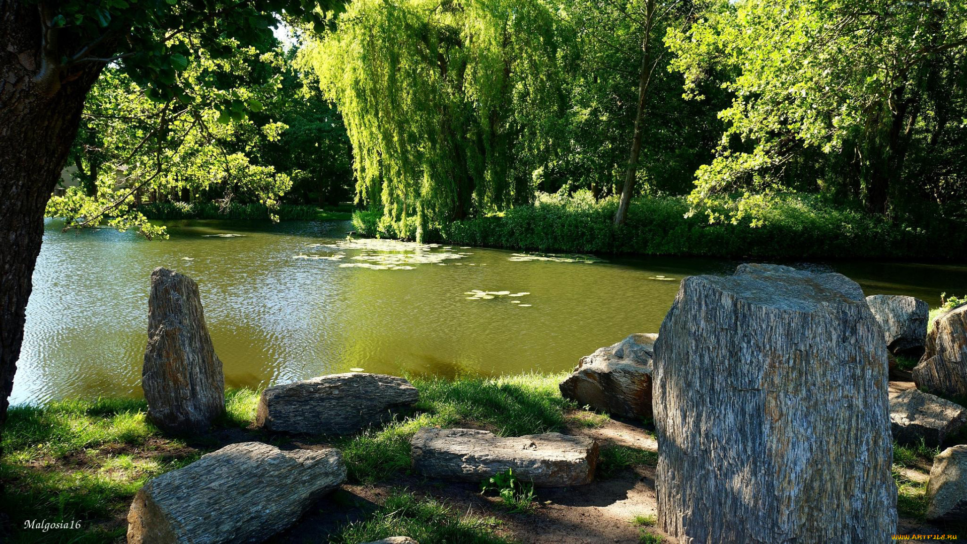 природа, парк, лето, деревья, водоем