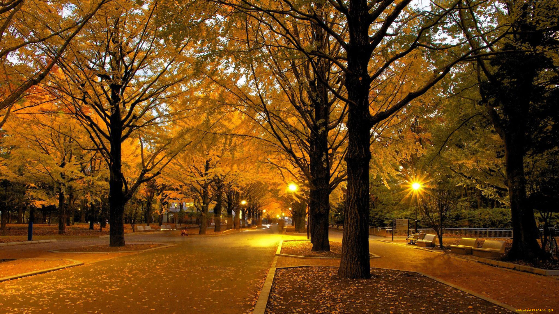 природа, парк, листопад, осень, фонари, аллеи
