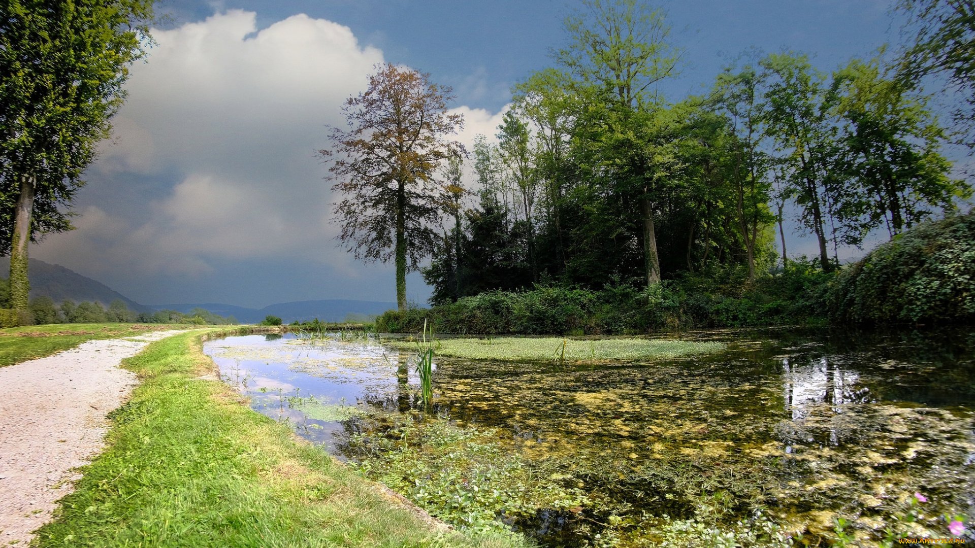 природа, пейзажи, простор