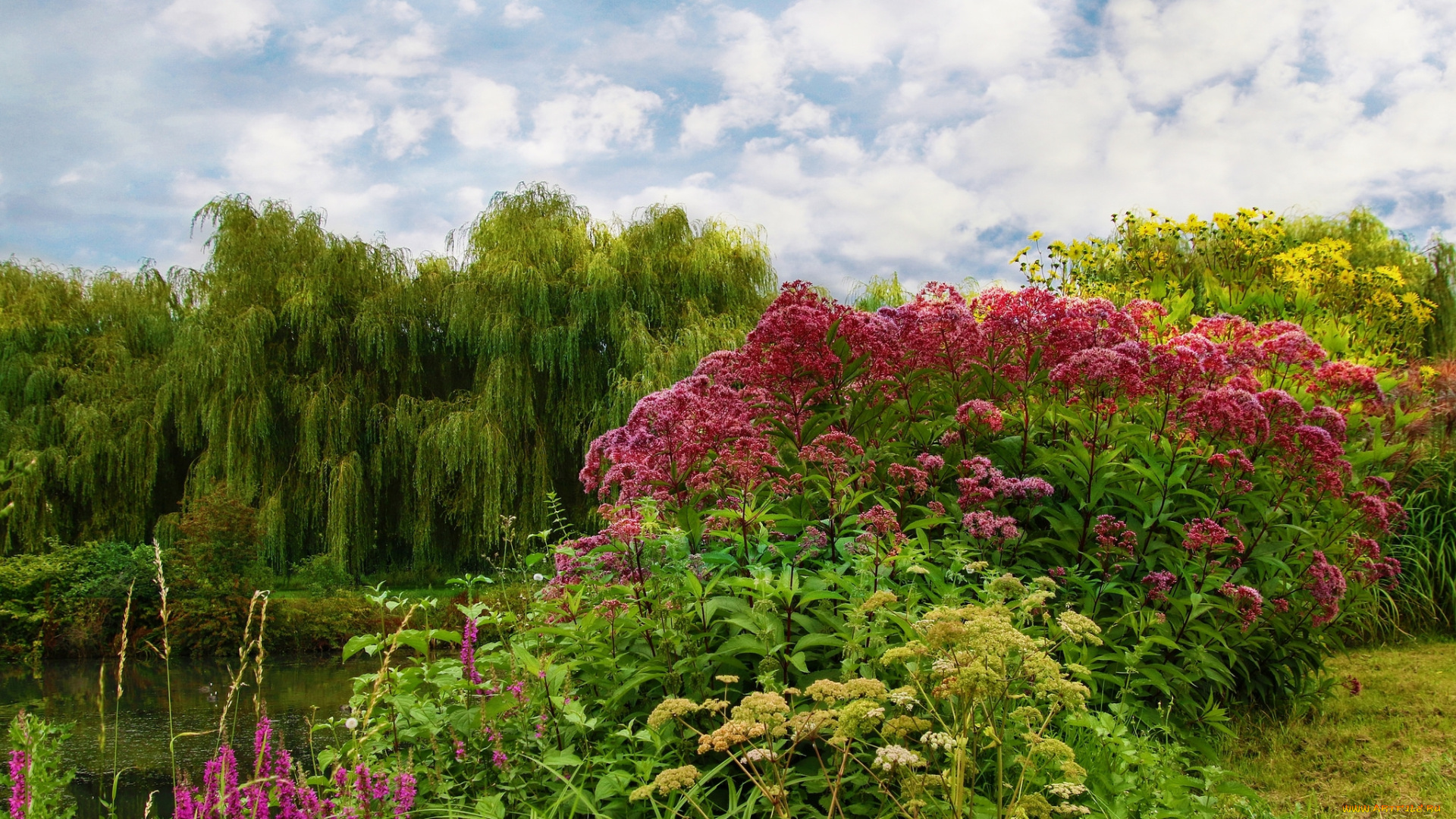 природа, пейзажи, простор