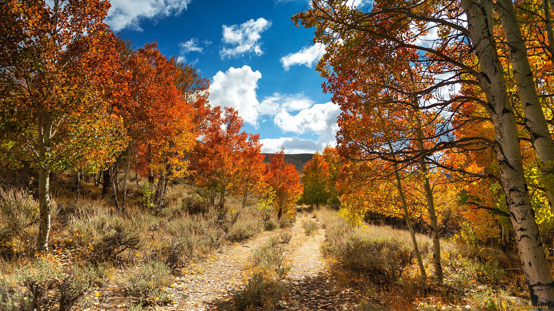 природа, пейзажи, простор