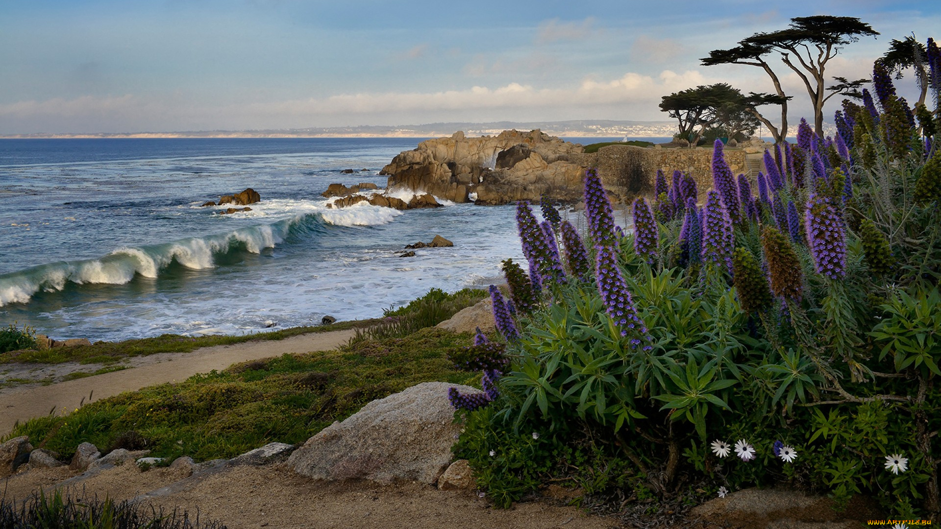 природа, побережье, простор