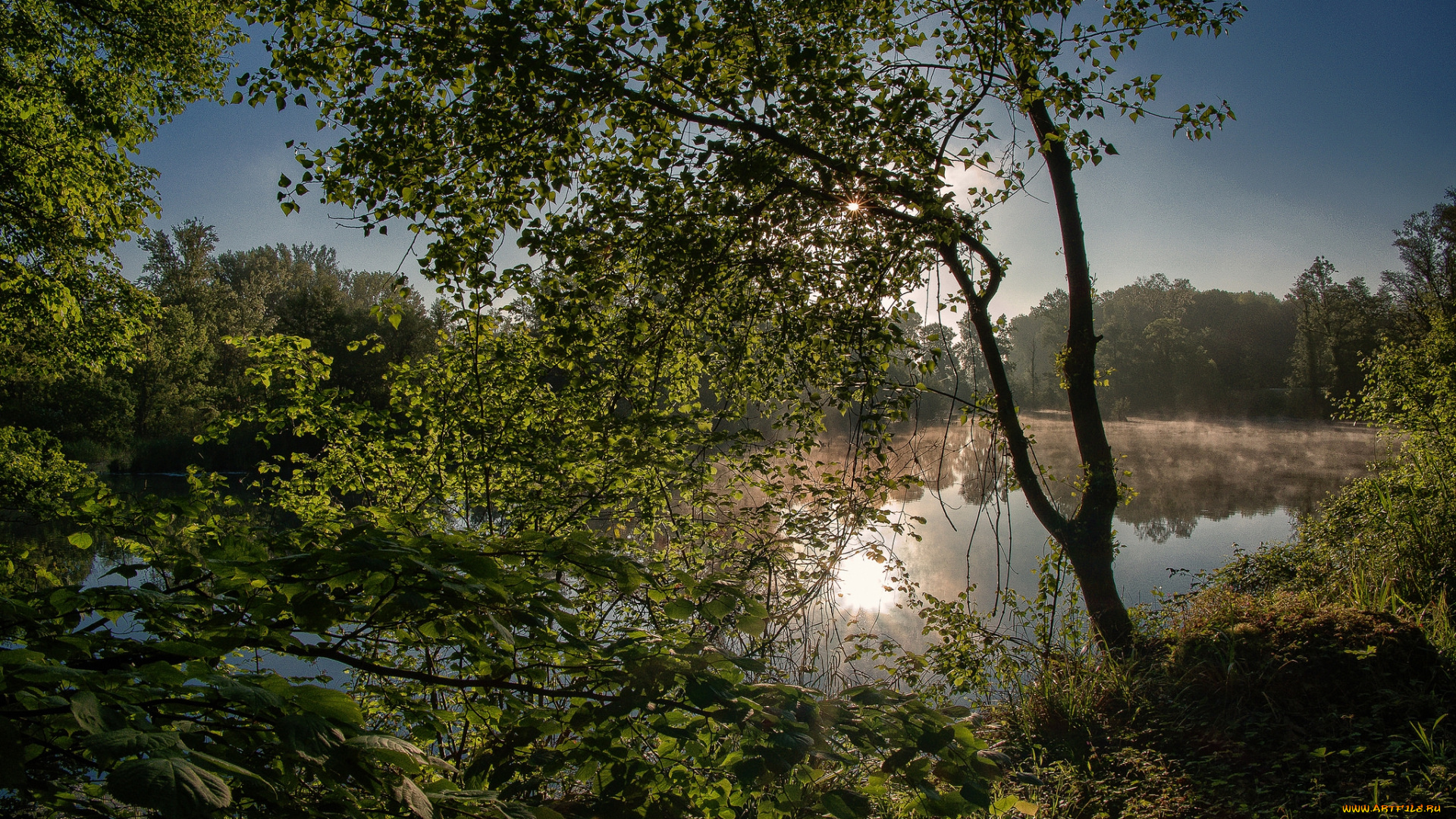 природа, реки, озера, лес, река