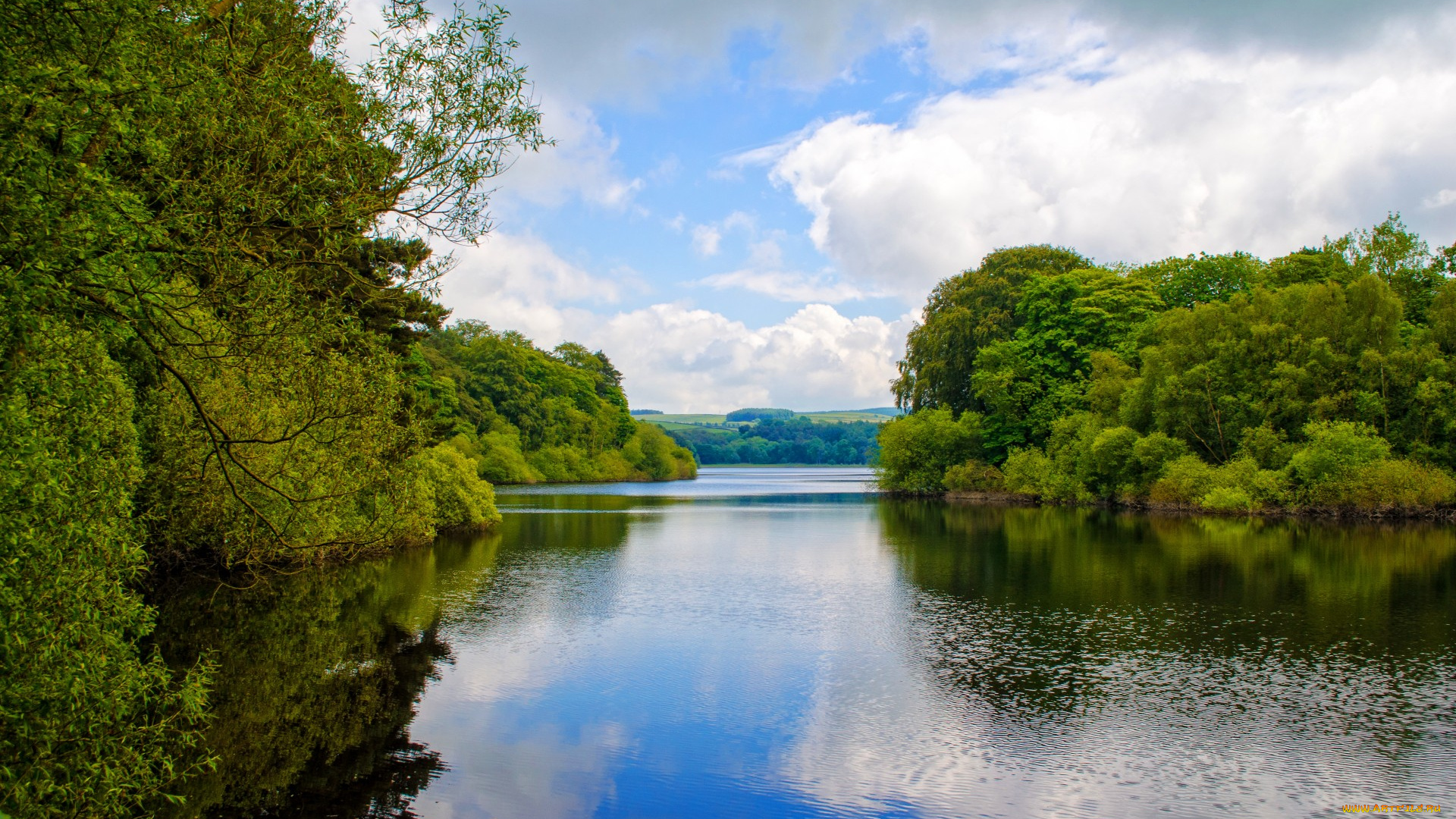 природа, реки, озера, отражение, река, лето