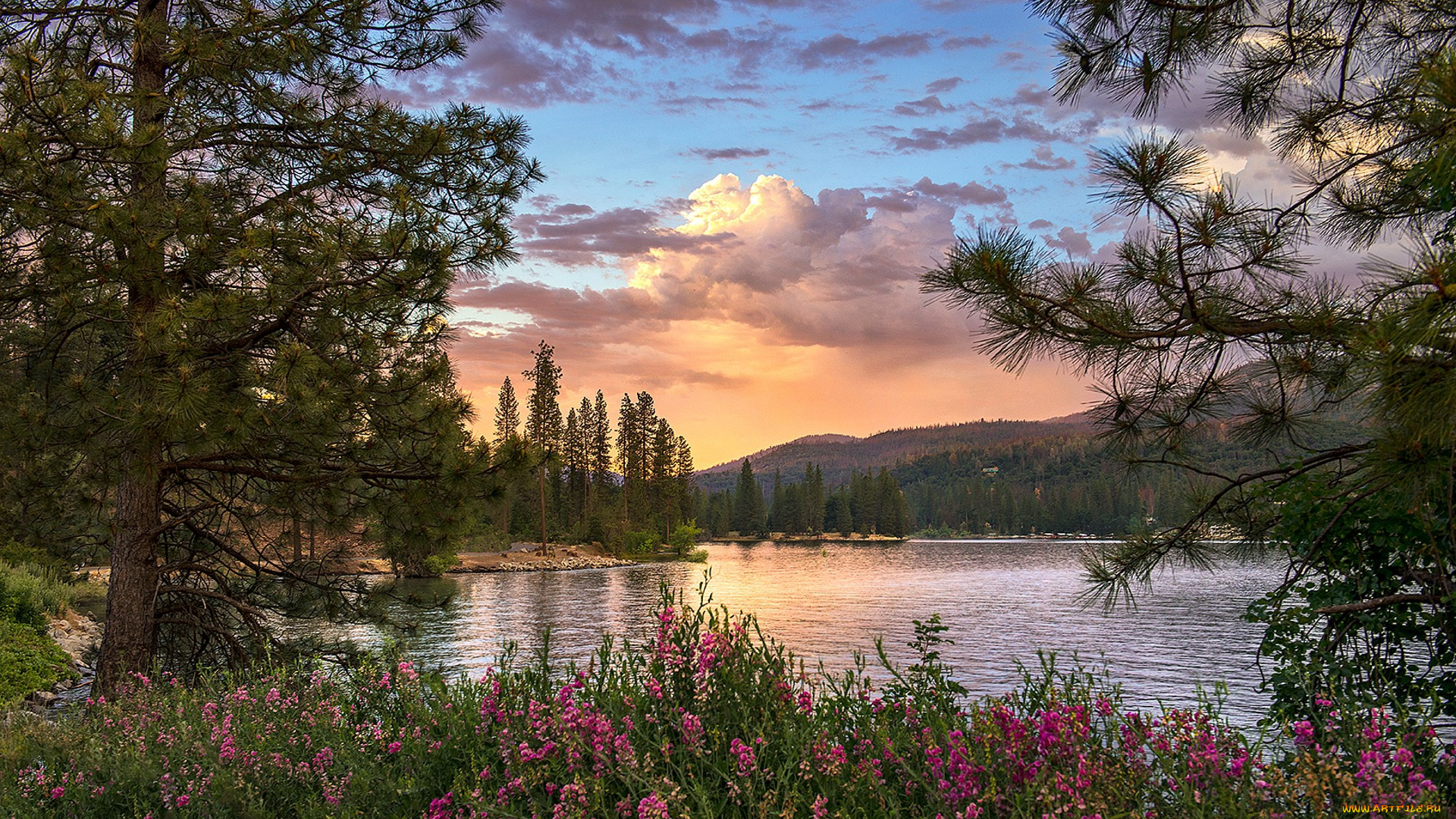 природа, реки, озера, простор