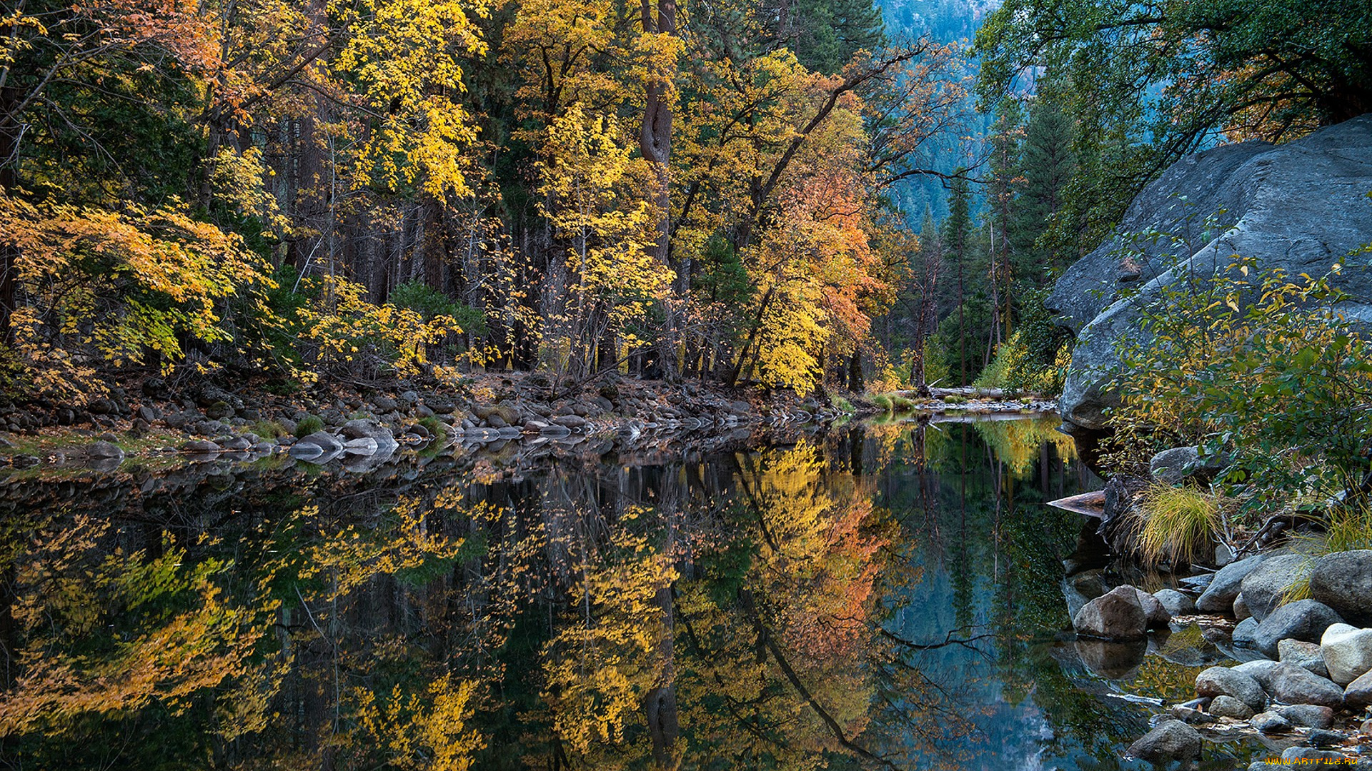 природа, реки, озера, простор