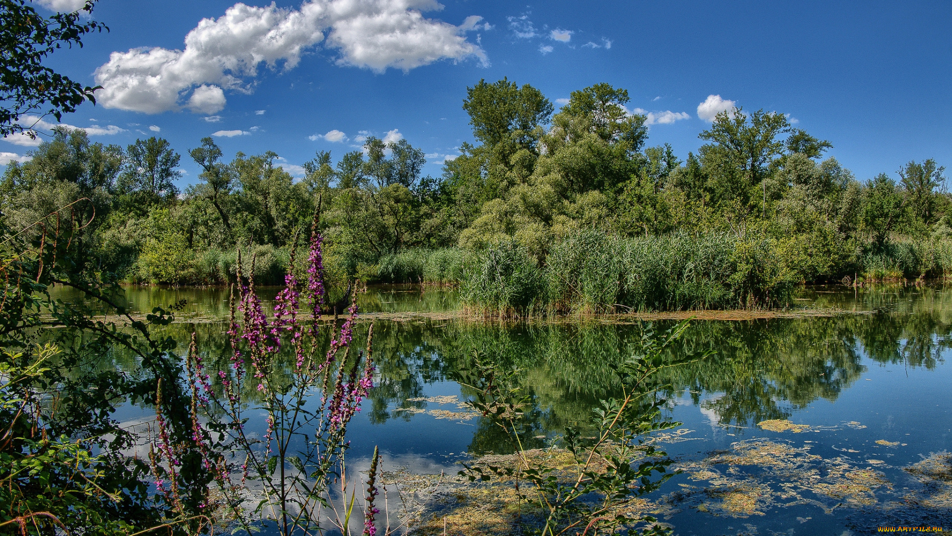 природа, реки, озера, простор