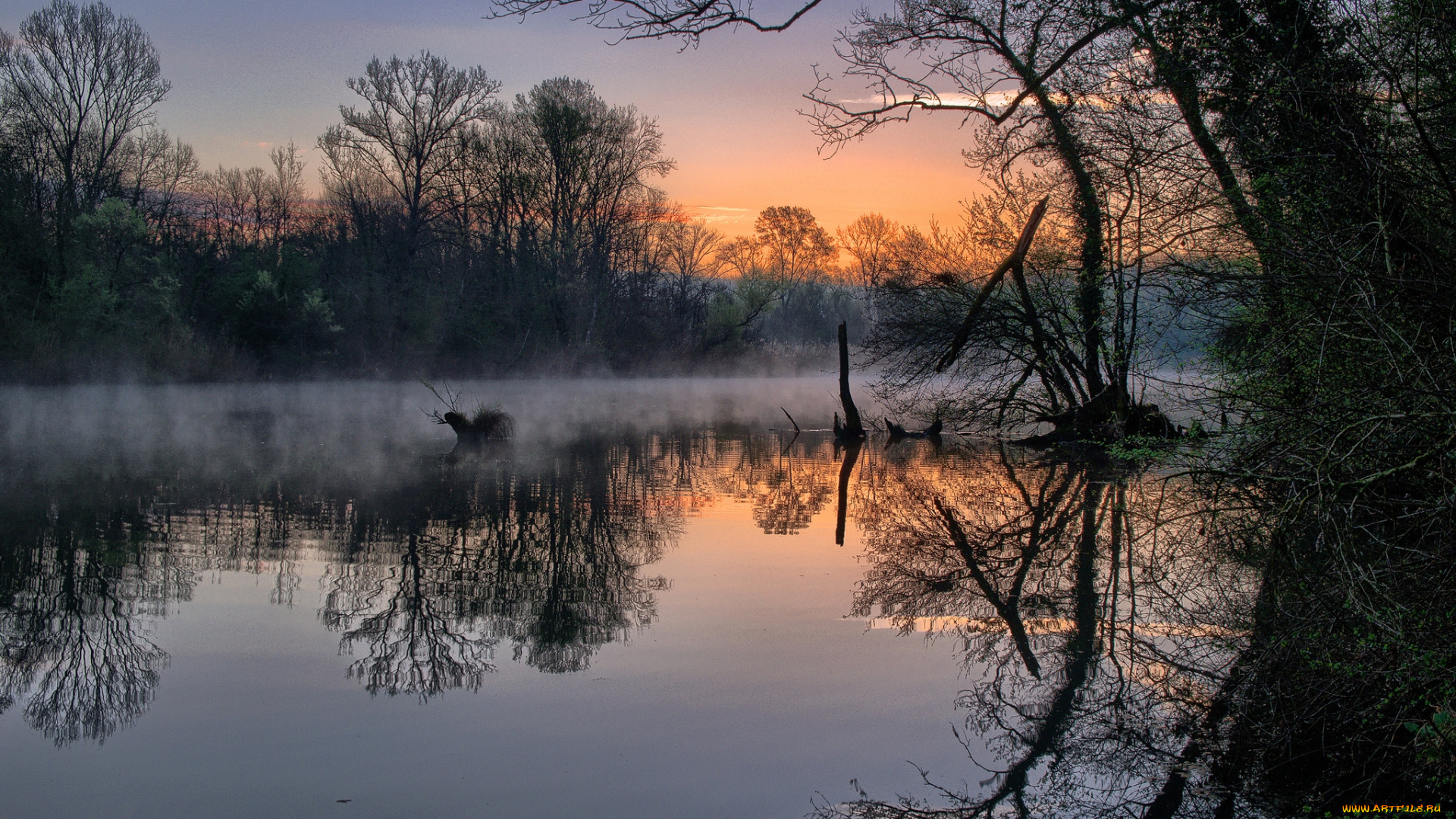 природа, реки, озера, простор