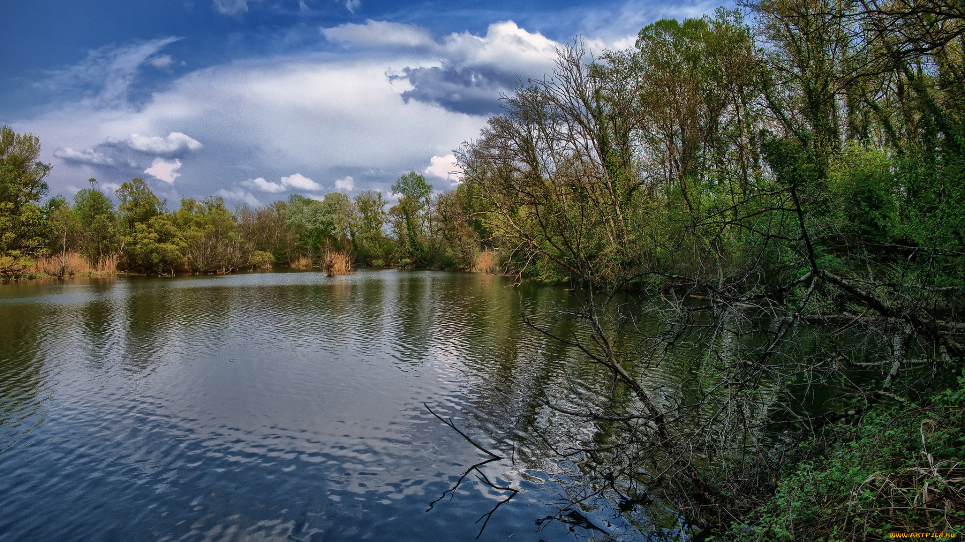 природа, реки, озера, простор