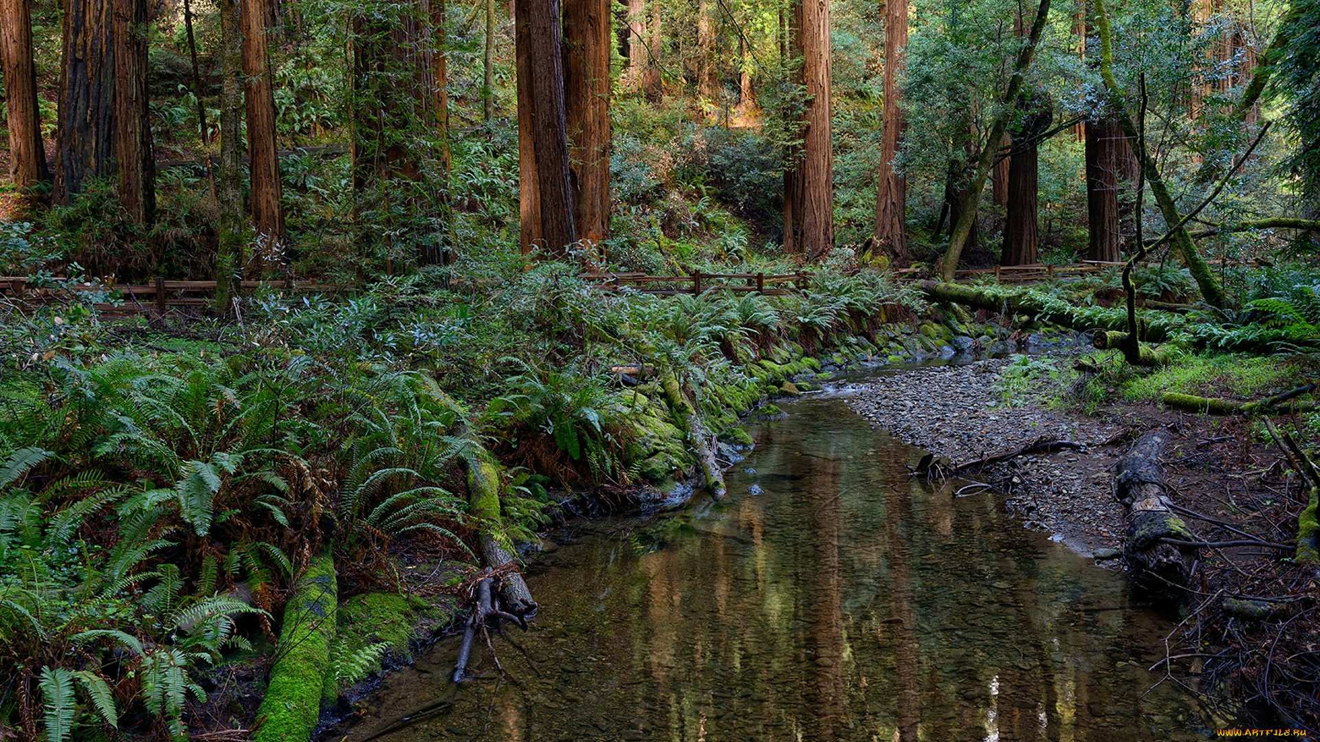 природа, реки, озера, простор