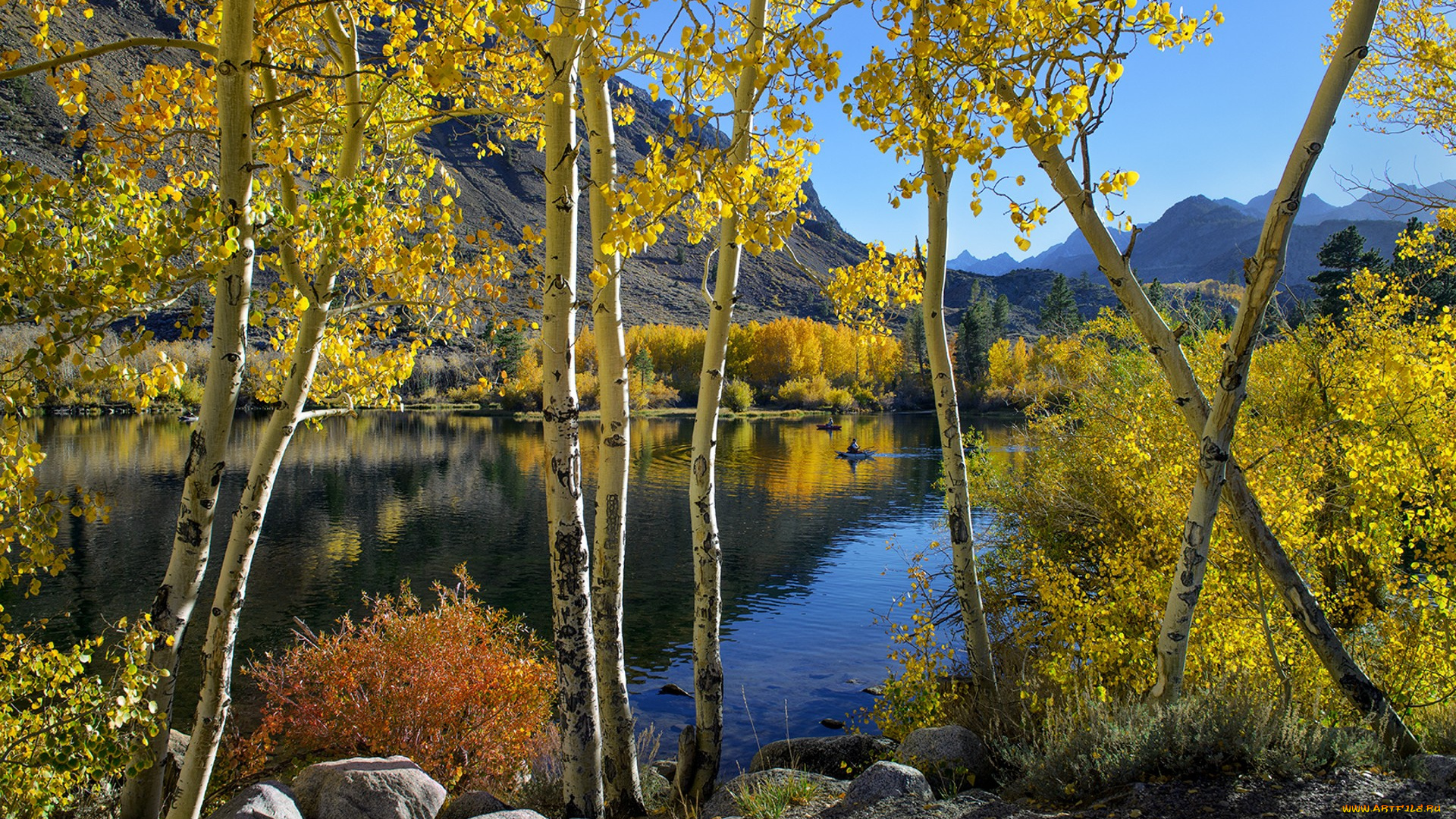 природа, реки, озера, простор