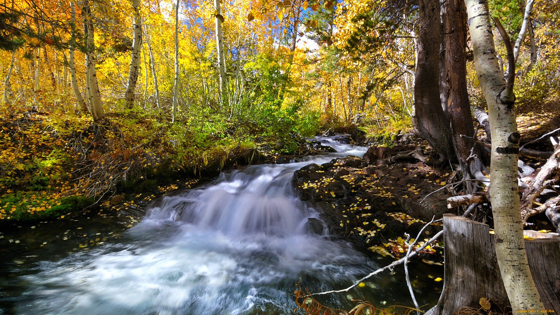 природа, реки, озера, простор