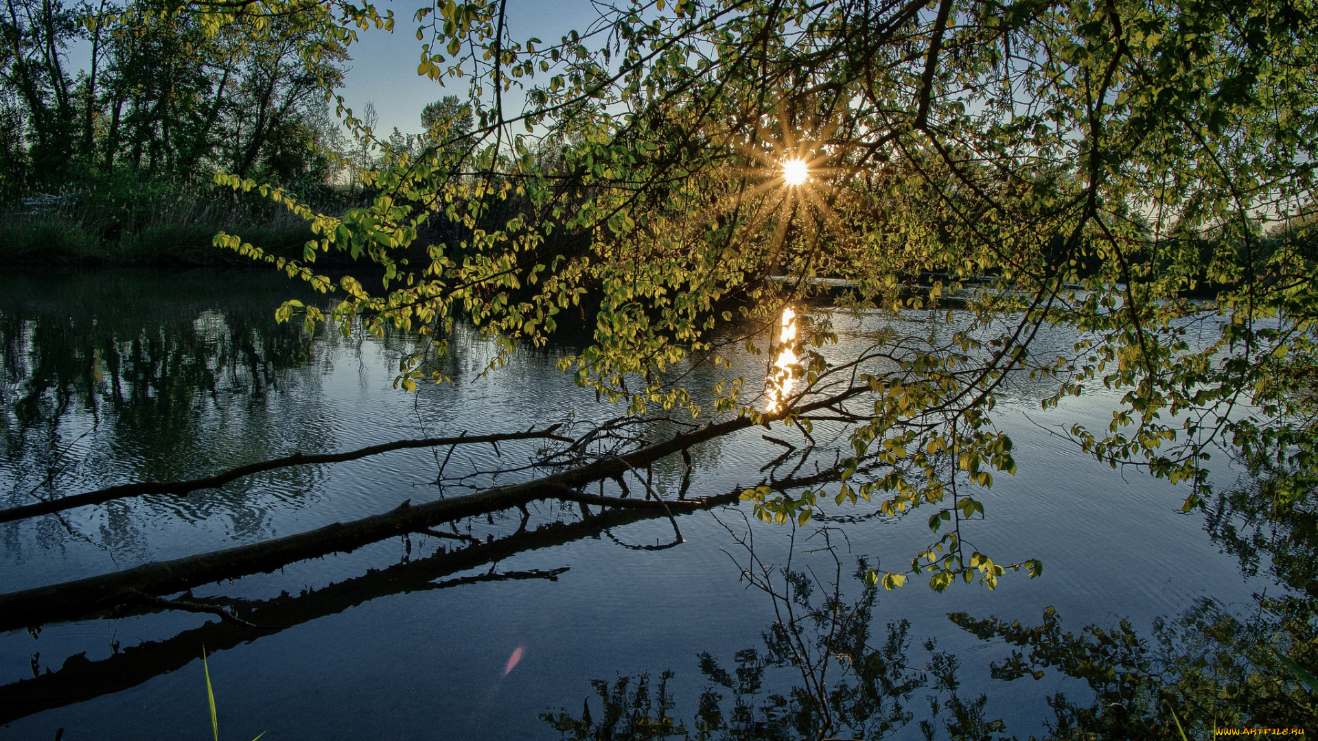 природа, реки, озера, простор