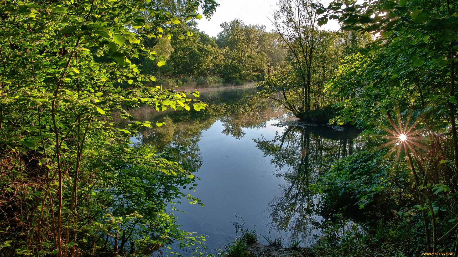 природа, реки, озера, река, лес