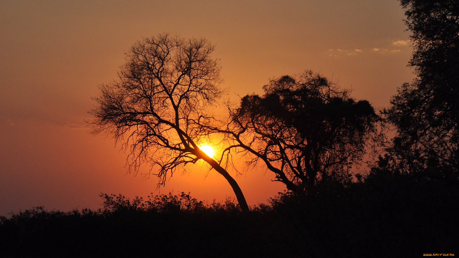 природа, восходы, закаты, простор