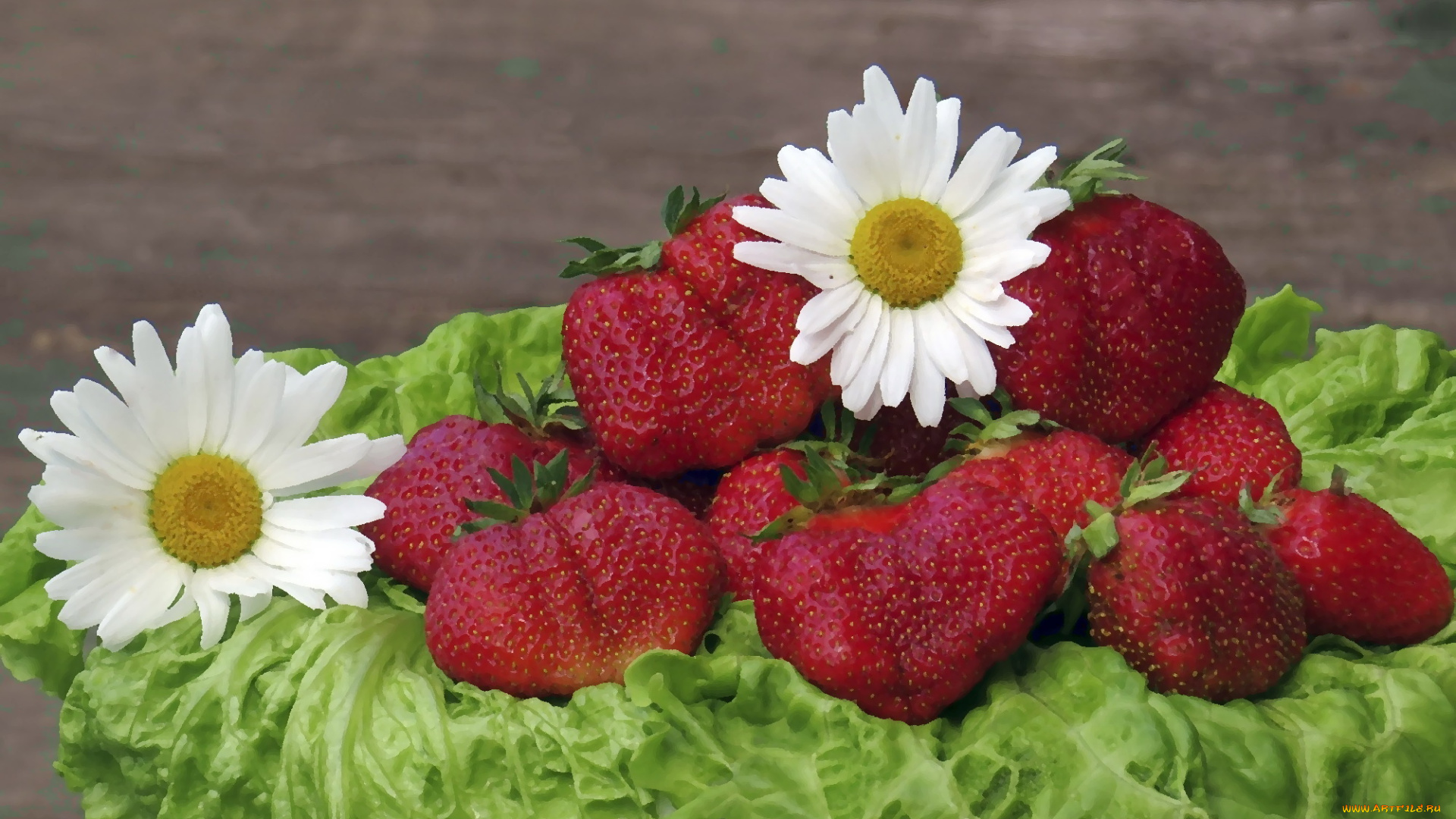 рисованное, еда, ягоды, цветы, ромашки, клубника