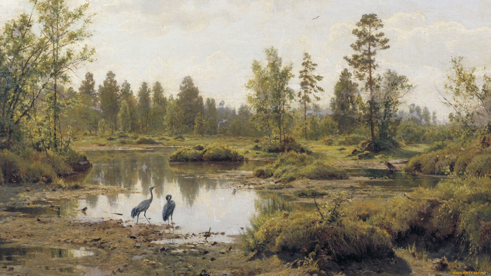 рисованное, иван, шишкин, цапля, картина, природа, пейзаж, птицы, иван, шишкин, болото, полесье