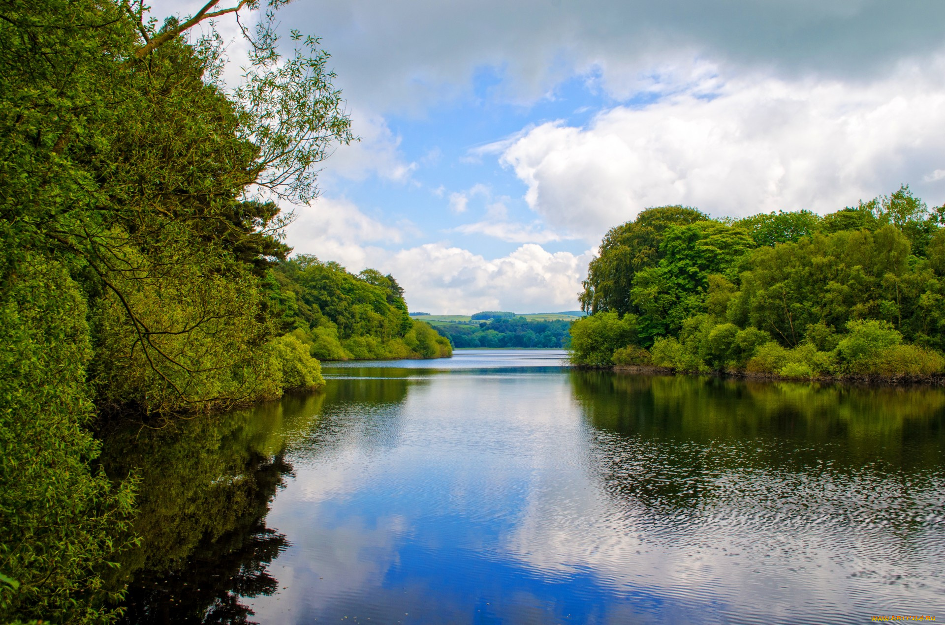 природа, реки, озера, отражение, река, лето