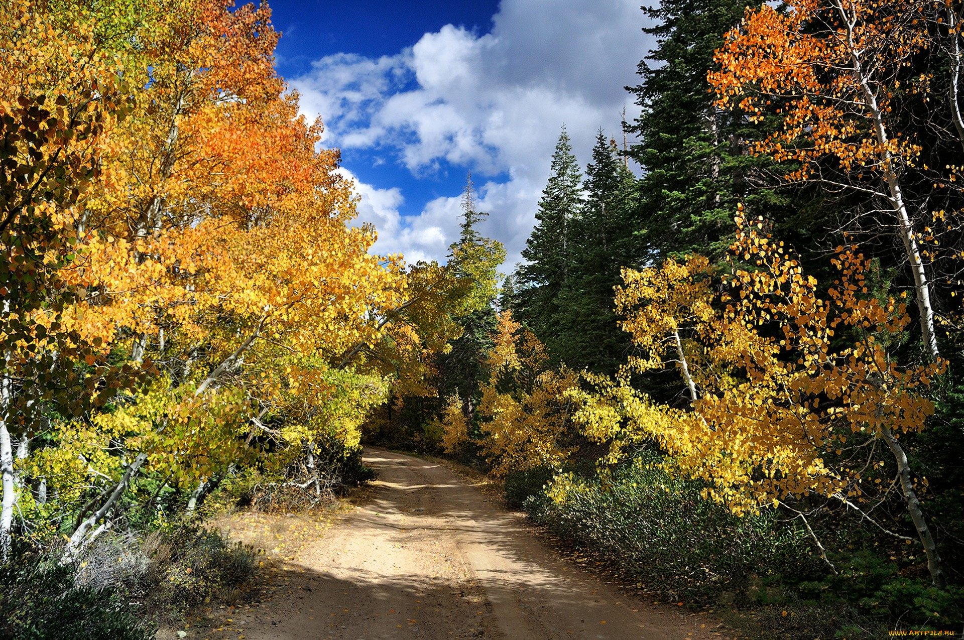 природа, дороги, простор