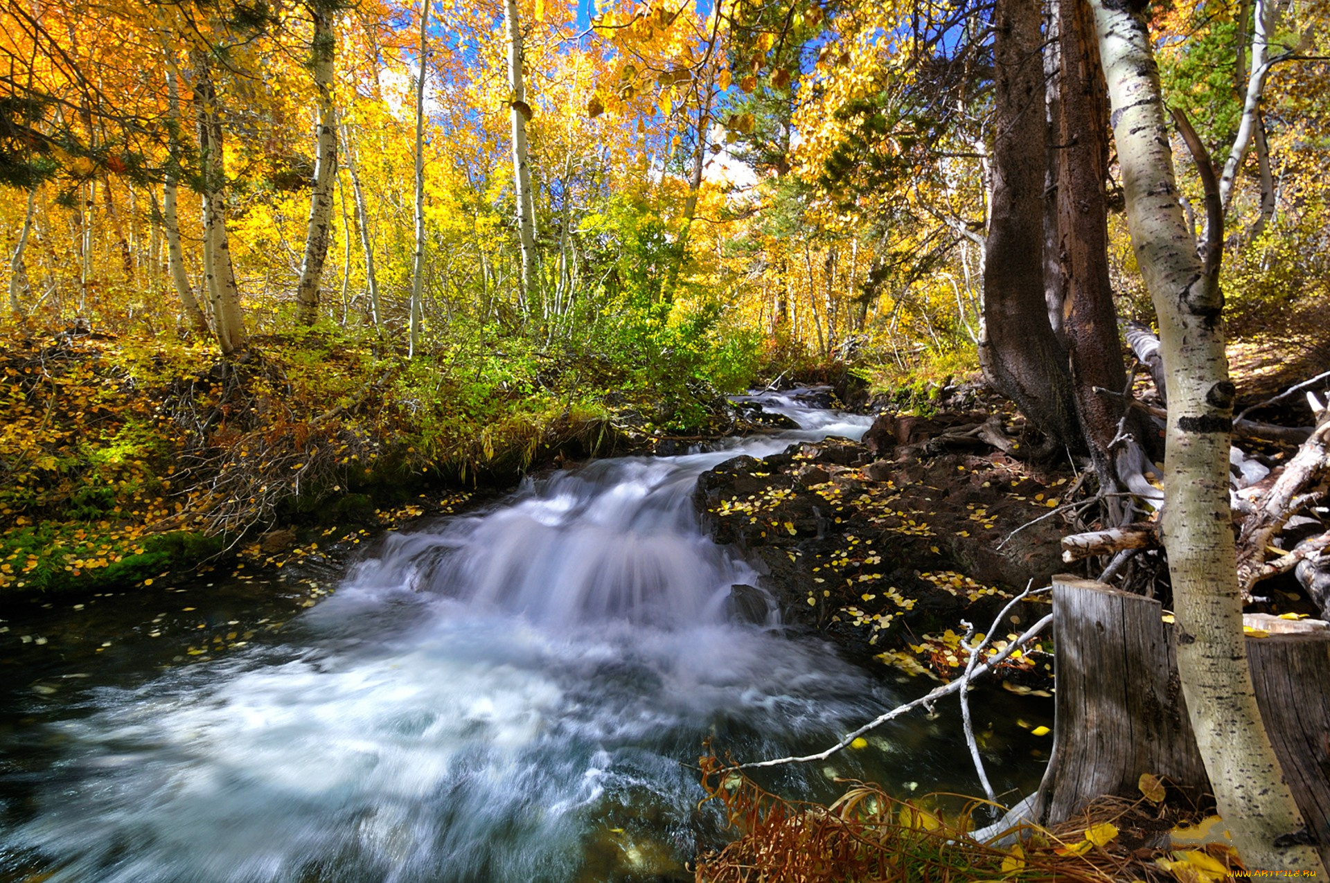 природа, реки, озера, простор