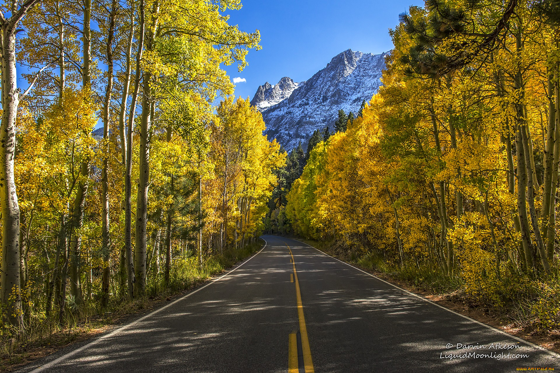 природа, дороги, простор