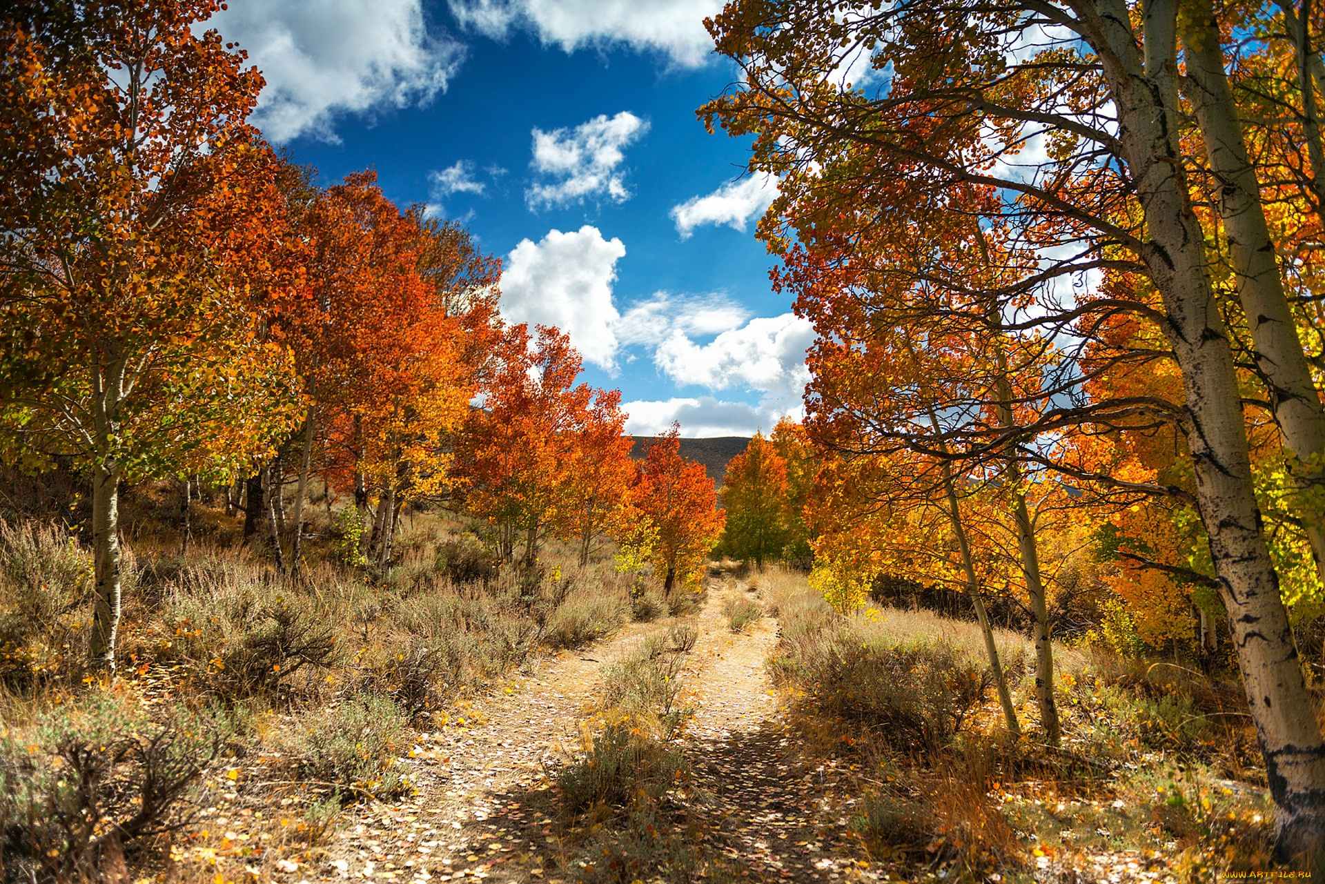 природа, пейзажи, простор