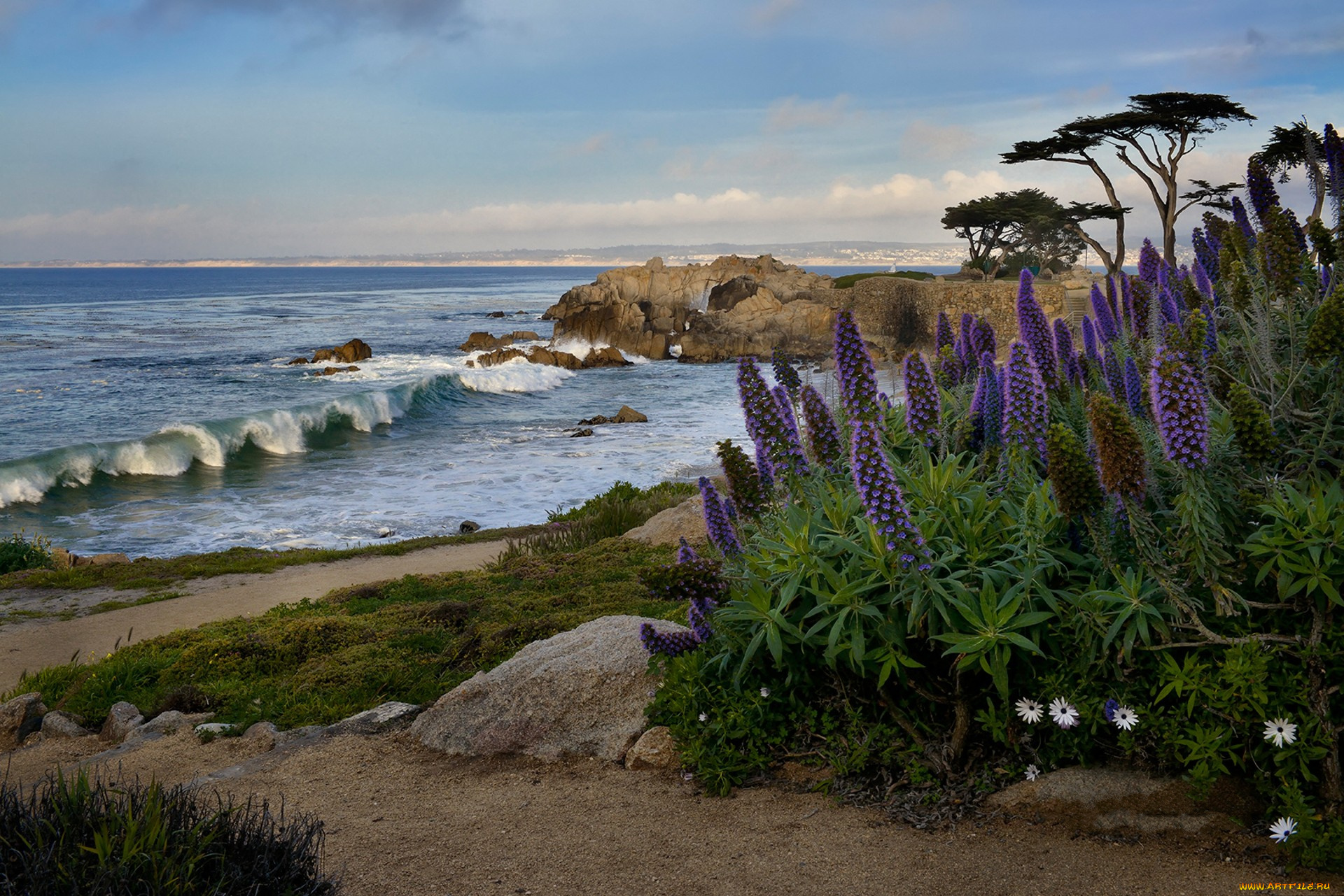 природа, побережье, простор