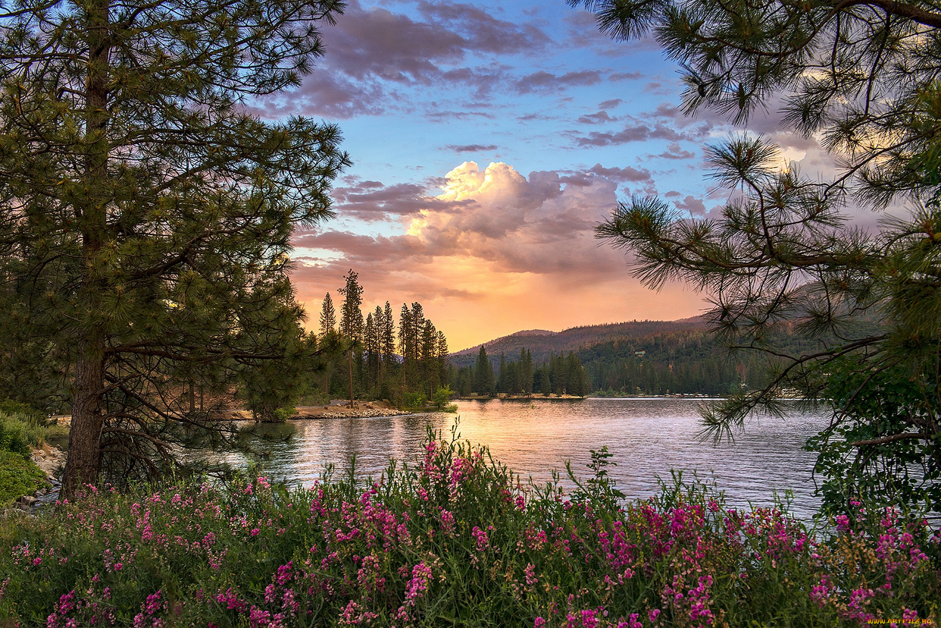 природа, реки, озера, простор