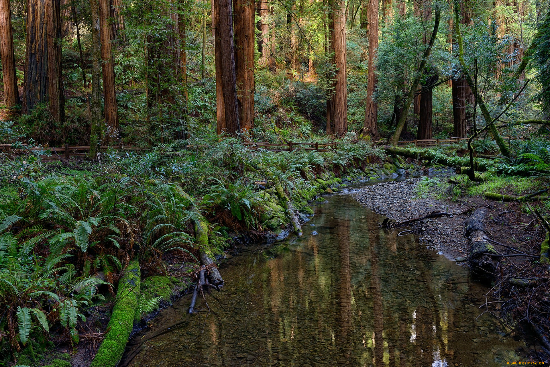 природа, реки, озера, простор