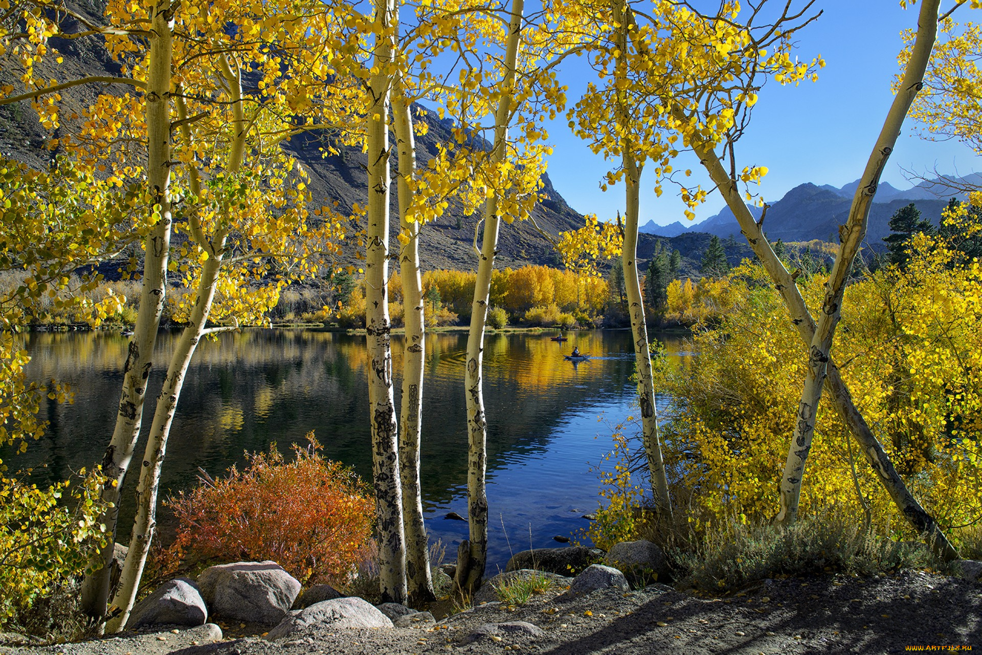 природа, реки, озера, простор