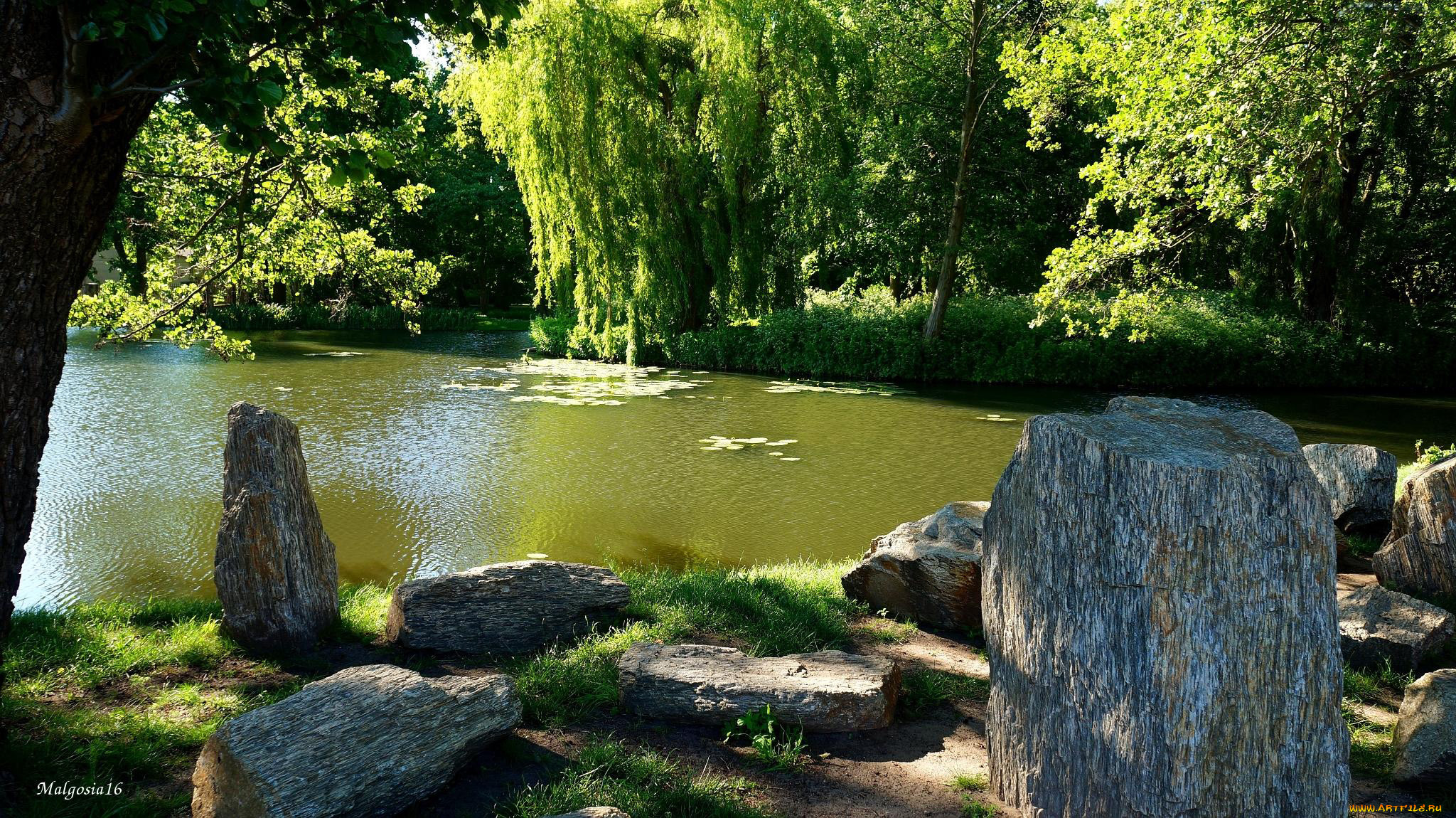 природа, парк, лето, деревья, водоем